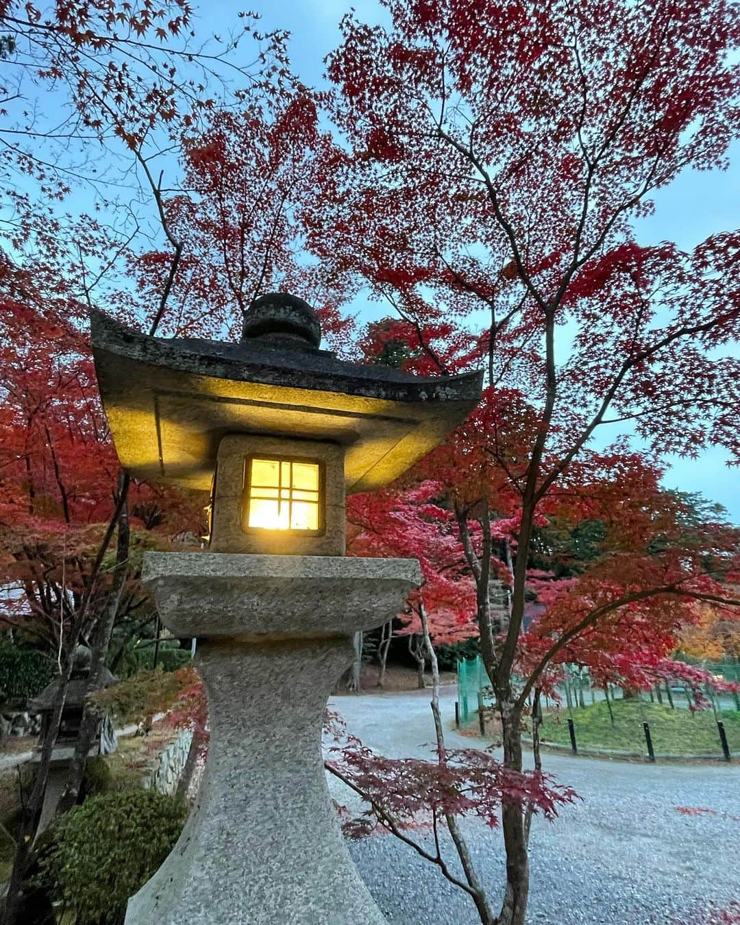 和婚スタイルさんのインスタグラム写真 - (和婚スタイルInstagram)「All maple red Oharano shrine in Kyoto🍁⛩️ We are still available to produce your beautiful Shinto style wedding on weekday only. Please contact us, Wakon style Japan.  #神社挙式 #白無垢 #Shintowedding #japanesetraditionalwedding #shiromuku #shrine #temple #weddingceremonyatJapan #kyotowedding #lgbtq #wakonstyle #buddhistwedding #destinationwedding #weddingphotography #happiestmoment #redtriigate #tokyo #fukuoka #kyoto #kimono #bride #大原野神社  #maple  #fall  #shinto #japantrip #mtfuji #bride’shairstyle #japantrip  #colouredkimono #色打掛」11月28日 19時49分 - wakonstyle