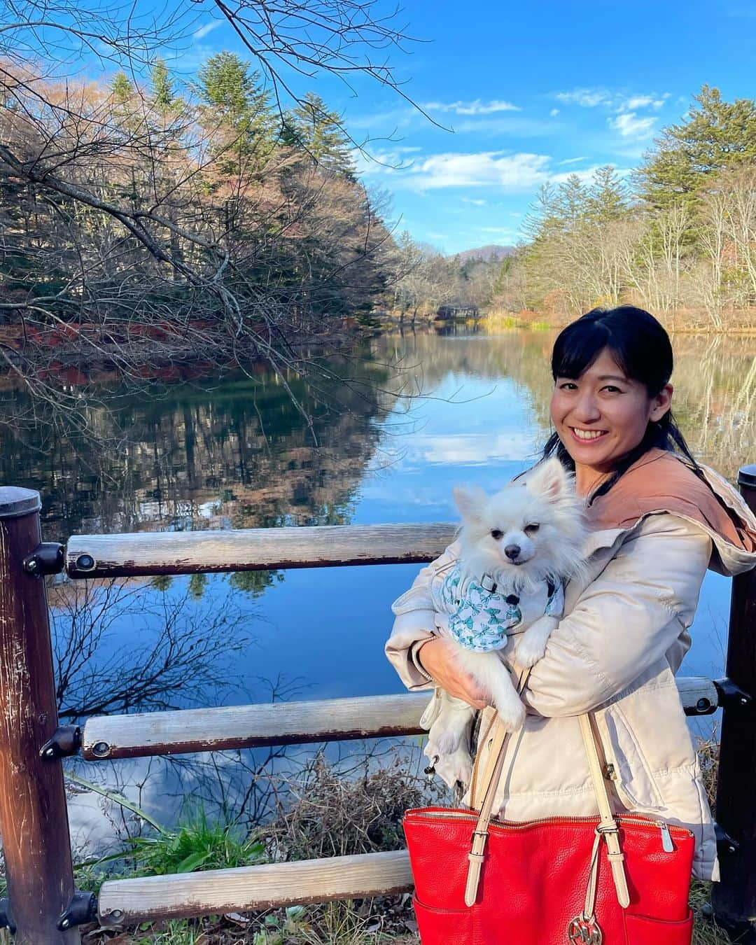 北口麻奈のインスタグラム：「「抹茶、軽井沢デビューしたの🐕」 関東の親戚の家にお邪魔したので、 軽井沢まで足を伸ばしました☺️ . はじめて雲場池へ行ったのですが、 ウユニ塩湖かと思うくらい 水面に映った景色が綺麗でした✨ 全員カメラをパシャパシャ🤭 . ランチはドックデプトさんで🐶 インナーテラスでお庭を眺めながらお食事を楽しめました！ 抹茶は豚肉のヤギミルク煮を食べて、 水分補給もバッチリ👌 まだまだ軽井沢観光は続きます🚶 #軽井沢 #犬とお出かけ関東 #dogdept #雲場池 #雲場池🍁 #犬のいる暮らし #ぽめちわ #ポメチワ #元保護犬 #ぽめちわぐらむ」