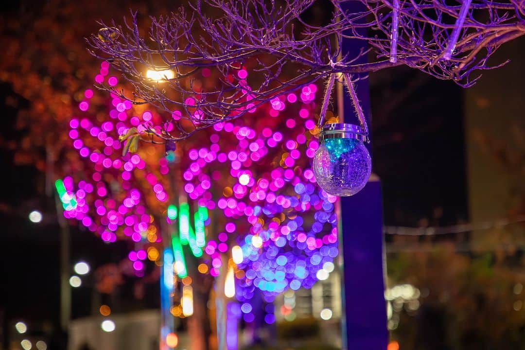 東京造形大学 Tokyo Zokei Universityさんのインスタグラム写真 - (東京造形大学 Tokyo Zokei UniversityInstagram)「_ 八王子みなみ野駅 駅前広場でのイルミネーションが、点灯中です✨  本年度もデザイン学科メディアデザイン専攻領域の学生の皆さんが制作・設置を担当しました🌙  今年のテーマは「UMA」です👾🐲 12本の樹木にUMAをモチーフにしたキャラクターが装飾されています🌌 お気に入りのUMAを見つけてみてください❗  点灯は来年1/12まで続きます。 お近くにお出かけの際は、ぜひご覧ください✨  #東京造形大学 #アート #美術 #デザイン #美術大学 #大学 #美大 #メディアデザイン  #イルミネーション #八王子 #八王子みなみ野駅 #横浜線 #空間演出 #tokyozokeiuniversity #arts #design #artuniversity #mediadesign #illumination #hachioji #uma」11月28日 11時11分 - tokyo_zokei_univ_official