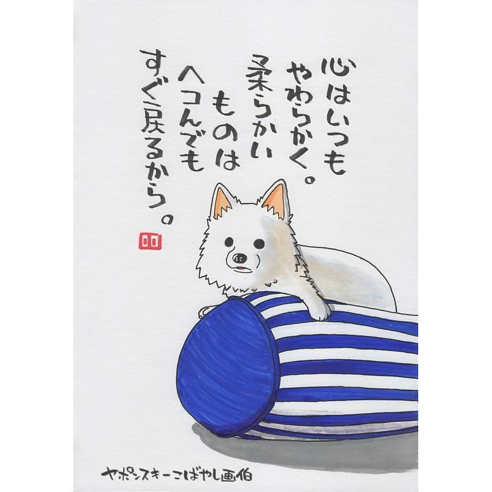 ヤポンスキーこばやし画伯のインスタグラム：「けもの日和 今日はsi_kaikunさん家の犬です。 スピッツですかね？ キレイな毛並みの子です。 何気ない写真かと思いきや 結構なバランス感覚ですよね。 で、このなんとも言えない表情 最高です。 かわいいお写真ありがとうございました。  イラスト #ポエム  #イラストエッセイ #エッセイ #ヤポンスキー #ヤポンスキーこばやし画伯 #こばやし画伯 #芸人 #絵 #ポストカード #詩 #アート #言葉 #言葉の力 #人生 #生き方 #イラストグラム #イラストレーター #つぶやき #可愛い #前向き #ポジティブ #癒し #名言 #格言 #けもの日和」