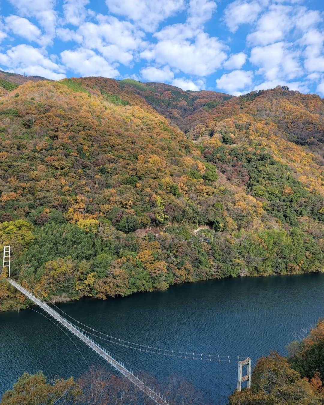 田川寿美さんのインスタグラム写真 - (田川寿美Instagram)「先週末は徳島県三好市へ。  地元の皆さんのあたたかさと 純粋なまなざしに 包まれて 今日も感謝です。  #田川寿美#徳島県#三好市#インナー#コンサート#東祖谷歴史民俗資料館#自然#紅葉#歌#着物 #Japanese#enka」11月28日 11時40分 - toshimi_tagawa