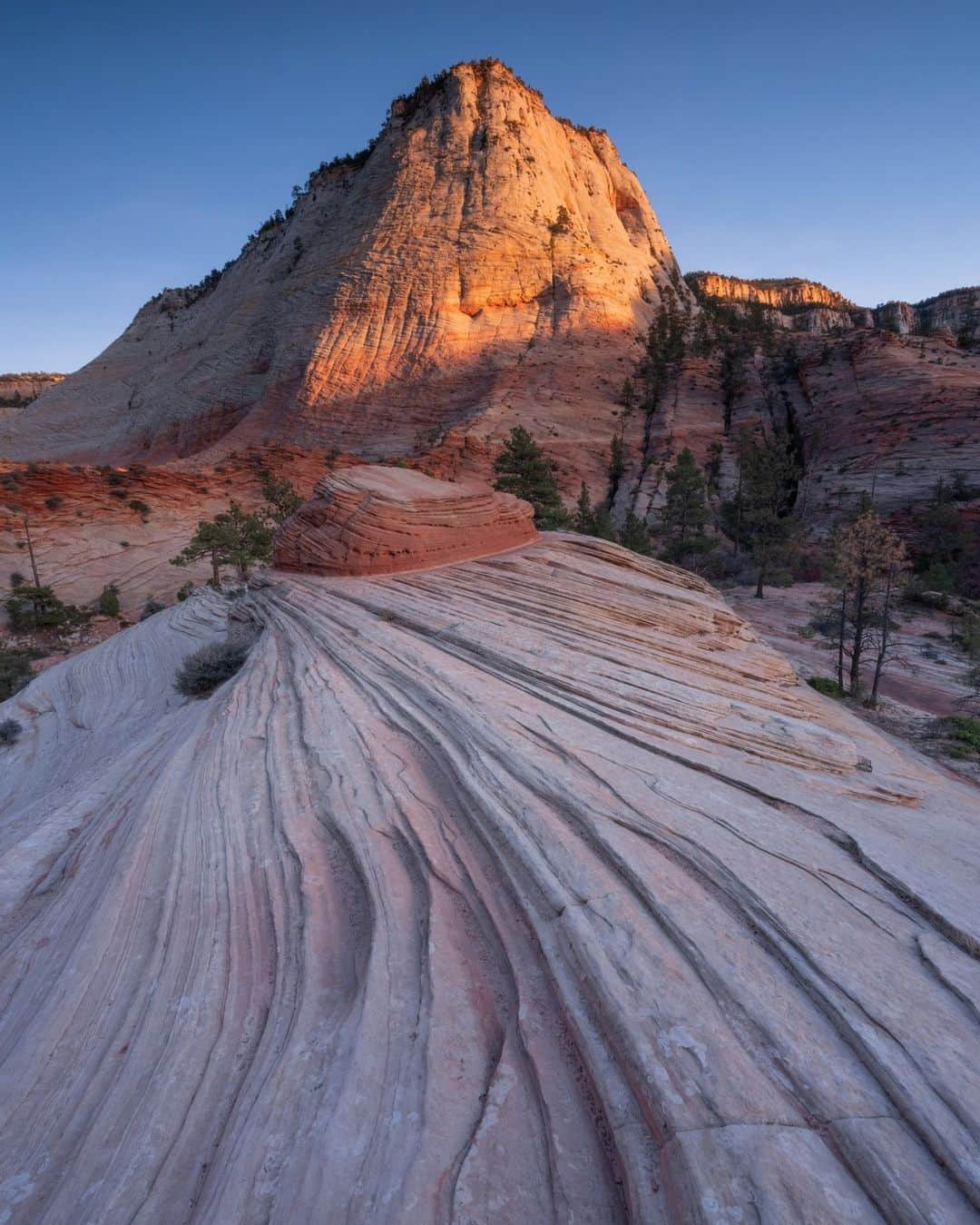 National Geographic Travelのインスタグラム：「Photo by Keith Ladzinski @ladzinski | Sitting at the intersection of the Colorado Plateau, the Great Basin, and the Mojave Desert, Zion National Park is home to a diverse array of landscapes: sandstone cliffs, upheaval domes, and mazes of canyons. To see more photos of this beautiful place visit me @ladzinski.」