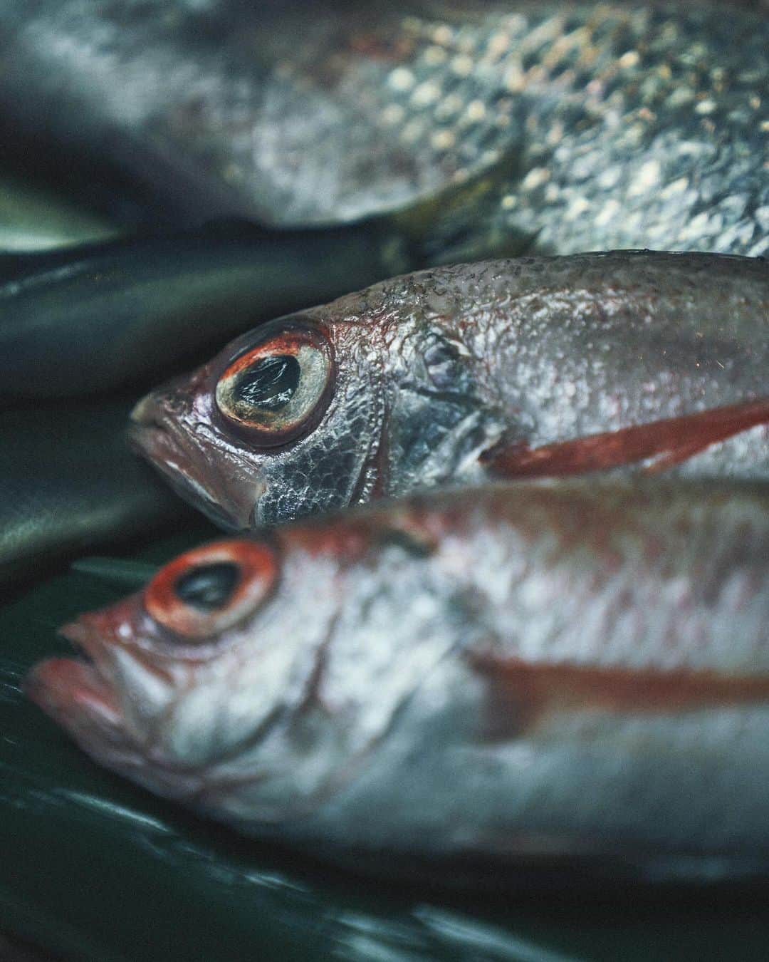 酒井商会のグルメインスタ