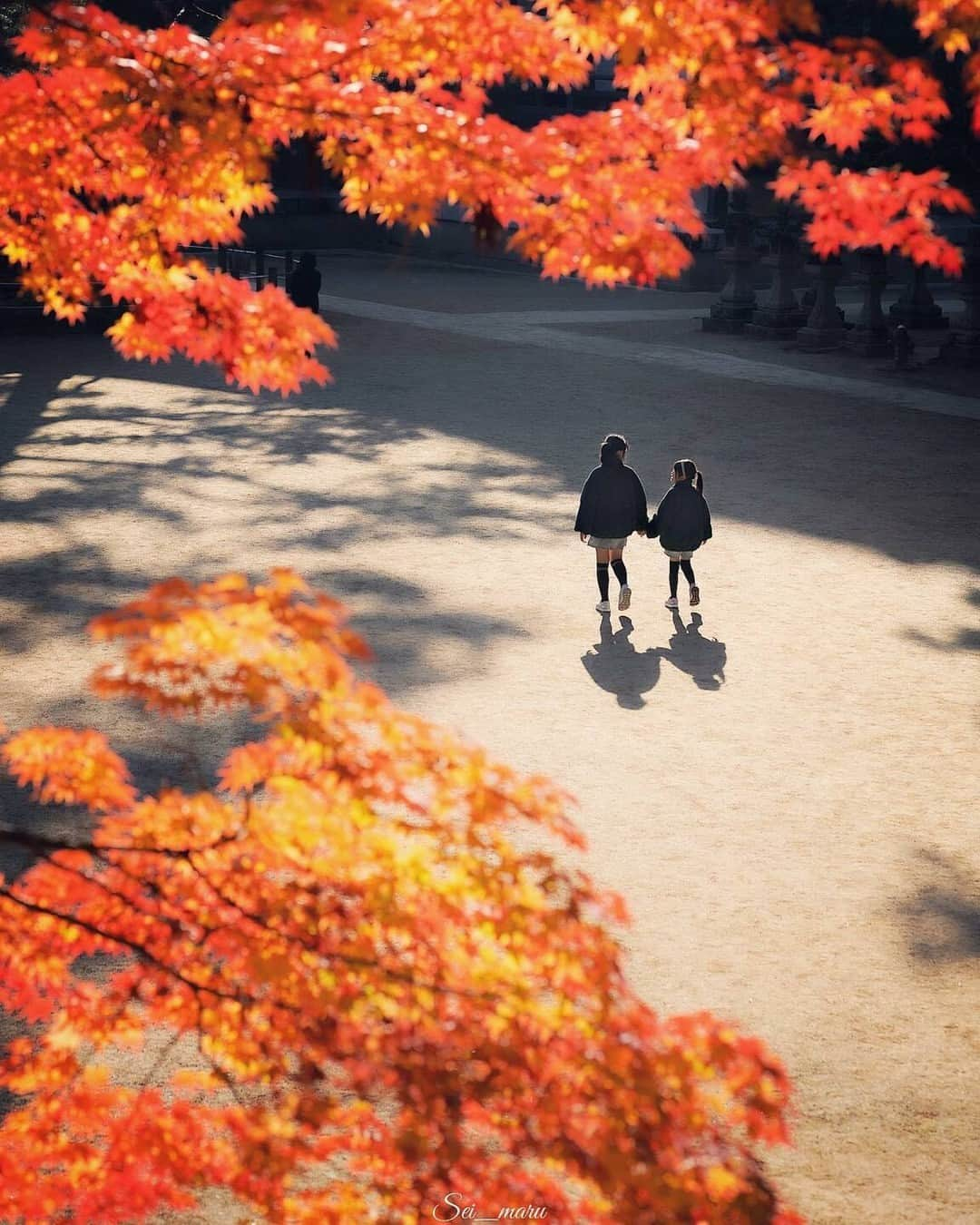 Short Tripのインスタグラム：「like!＆コメント大歓迎！ Photo by @sei_maru.7. . Original Post https://www.instagram.com/p/CzXd3SOPfrG/ . 本アカウントは、#photo_shorttrip をつけてInstagramに投稿された皆さんの記憶に残る素敵な「旅の一枚」をご紹介しています。また、「Short Trip」Facebookページでも作品をご紹介＆受付中！ 投稿の際はぜひ、撮影場所もご記載ください。 . ※当アカウントでシェアさせていただいた作品は、東京カメラ部YouTubeアカウントでも投稿者様のお名前入りでご紹介させていただく場合があります。これらの使用に関して原則通知は行いませんので、予めご了承ください。 ※各種法令、マナー、関係者の指示に従った撮影をお願いします。 *Please ensure that your photography adheres to all relevant laws, etiquette, and instructions issued by authorized persons. ※本アカウントは東京カメラ部がFacebook、Instagramのサービスを利用して運営しているもので、Meta社・Instagramとは一切関係ありません。 . #photo_shorttrip #小旅行 #shorttrip #short_trip #旅 #旅行 #写真 #photo #travelphoto #travelphotos #travelphotography Follow: @photo_shorttrip」