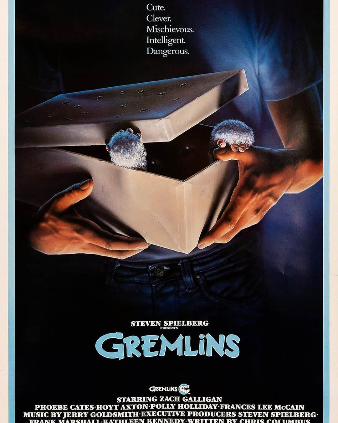 スタンダードカリフォルニアのインスタグラム：「“ GREMLINS “   ブログアップしました。（Taizo）   #standardcalifornia #スタンダードカリフォルニア #gremlins #stevenspielberg #phoebecates #gizmo #mogwai」