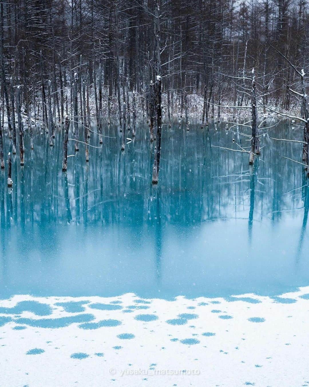 エイチ・アイ・エスさんのインスタグラム写真 - (エイチ・アイ・エスInstagram)「＼雪景色に映える青い池❄️／  美瑛にある白金青い池🩵💙  季節ごとに異なる美しさが見られます😊 今回ご紹介のお写真は、 カラマツが雪化粧されとても幻想的❄️✨  …………………………………………………………… 📍 #北海道 #美瑛町  #青い池 📸 @yusaku.matsumoto_photo さん  早朝、青い池の雪。 陽が昇り始め、澄んだ池面が優しい青に染まります。 一瞬の芸術が目の前に広がりました。 ……………………………………………………………  旅先探しのヒントは こちらをチェック▶︎▶︎▶︎ @his_japan  —————— 📷旅のお写真募集中✈️ ——————  皆さんの旅の思い出は、@his_japan OR #his_japan2023 を付けてシェアしてください🙌 過去PICもOKです❗️  集まったお写真は、HISのSNSやオウンドメディアでご紹介🙆‍♀️  #旅の思い出 #国内旅行 #北海道観光スポット #北海道おすすめ #美瑛 #美瑛観光スポット #美瑛おすすめ #次の旅先リスト #旅行好きな人と繋がりたい #写真好きな人と繋がりたい #旅したくなるフォト #旅スタグラム #インスタトラベル #女子旅 #ひとり旅 #カップル旅 #家族旅行 #instatravel #instapassport #photooftheday #instaphotography #worldtravelpics #worldtraveler #japantravelphoto #hokkaidotrip」11月28日 18時00分 - his_japan
