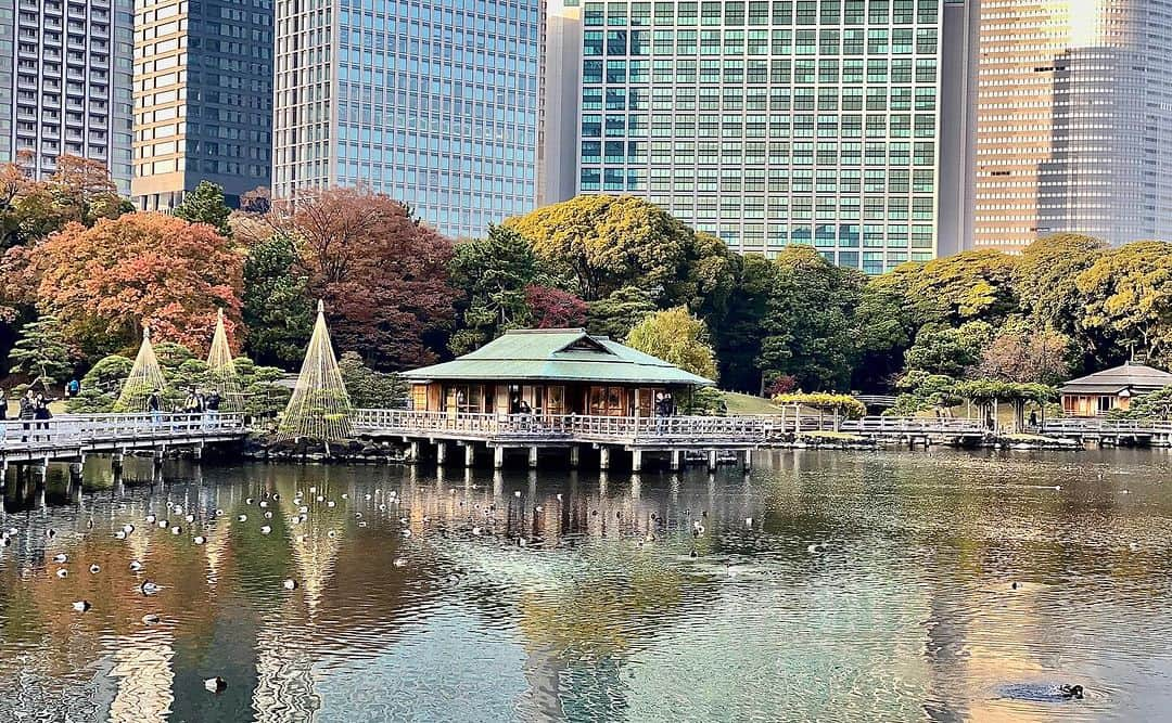 km観光タクシーさんのインスタグラム写真 - (km観光タクシーInstagram)「Hamarikyu Gardens  #tokyotour #tokyolife #tokyonow #tokyotrip #tokyotravel #tokyojapan #tokyotokyo #tokyosightseeing #tokyotourism #tokyophotography #tokyosnap #tokyocity #visittokyo #mytokyois #kmタクシー #東京観光 #観光タクシー」11月28日 12時45分 - tokyodrive.jp