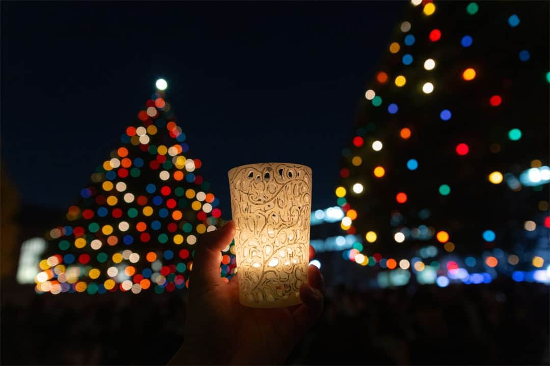 立教大学さんのインスタグラム写真 - (立教大学Instagram)「#ChristmasinRikkyo #立教大学 #クリスマス #イルミネーション 今年も約1000個の明かりがヒマラヤ杉に灯り、「Christmas in Rikkyo 2023」の始まりを告げました。  池袋キャンパス 2023年度 イルミネーションの点灯時間  11月28日（火）～12月23日（土）　17:00点灯／22:00消灯 12月24日（日）　16:00点灯(終夜点灯)　※25日（月）6:00消灯 12月25日（月）　16:00点灯(終夜点灯)　※26日（火）6:00消灯 12月26日（火）～2024年1月6日（土）　17:00点灯／21:00消灯  クリスマスイルミネーションは教会の暦に従い、キリストの降誕を待ち望む期間（降臨節）からキリスト誕生を祝い、地上への顕現を祝う日（1月6日「顕現日」）までの間、点灯いたします。  ©立教大学写真部  #立教大学 #立教 #立大 #rikkyo #rikkyouniversity #japanuniversity  #大学 #大学生 #大学生活 #大学受験 #ikebukuro #池袋キャンパス #立教 #立教大学 #イルミネーション #Illumination #ヒマラヤ杉 #ヒマラヤスギ #Xmas #deodar #cristmas #christmastree #クリスマス #クリスマスツリー #coregraphy #photography #ファインダー越しの私の世界   https://www.rikkyo.ac.jp/christmas/」11月28日 13時02分 - rikkyouniv