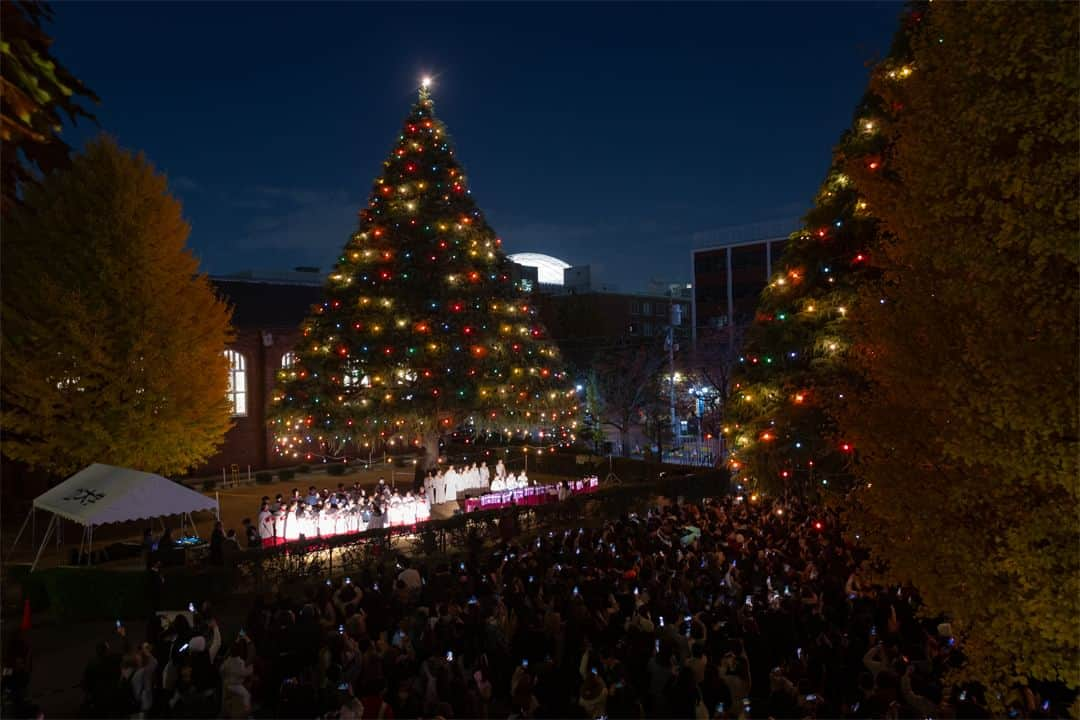 立教大学のインスタグラム：「#ChristmasinRikkyo #立教大学 #クリスマス #イルミネーション 今年も約1000個の明かりがヒマラヤ杉に灯り、「Christmas in Rikkyo 2023」の始まりを告げました。  池袋キャンパス 2023年度 イルミネーションの点灯時間  11月28日（火）～12月23日（土）　17:00点灯／22:00消灯 12月24日（日）　16:00点灯(終夜点灯)　※25日（月）6:00消灯 12月25日（月）　16:00点灯(終夜点灯)　※26日（火）6:00消灯 12月26日（火）～2024年1月6日（土）　17:00点灯／21:00消灯  クリスマスイルミネーションは教会の暦に従い、キリストの降誕を待ち望む期間（降臨節）からキリスト誕生を祝い、地上への顕現を祝う日（1月6日「顕現日」）までの間、点灯いたします。  ©立教大学写真部  #立教大学 #立教 #立大 #rikkyo #rikkyouniversity #japanuniversity  #大学 #大学生 #大学生活 #大学受験 #ikebukuro #池袋キャンパス #立教 #立教大学 #イルミネーション #Illumination #ヒマラヤ杉 #ヒマラヤスギ #Xmas #deodar #cristmas #christmastree #クリスマス #クリスマスツリー #coregraphy #photography #ファインダー越しの私の世界   https://www.rikkyo.ac.jp/christmas/」