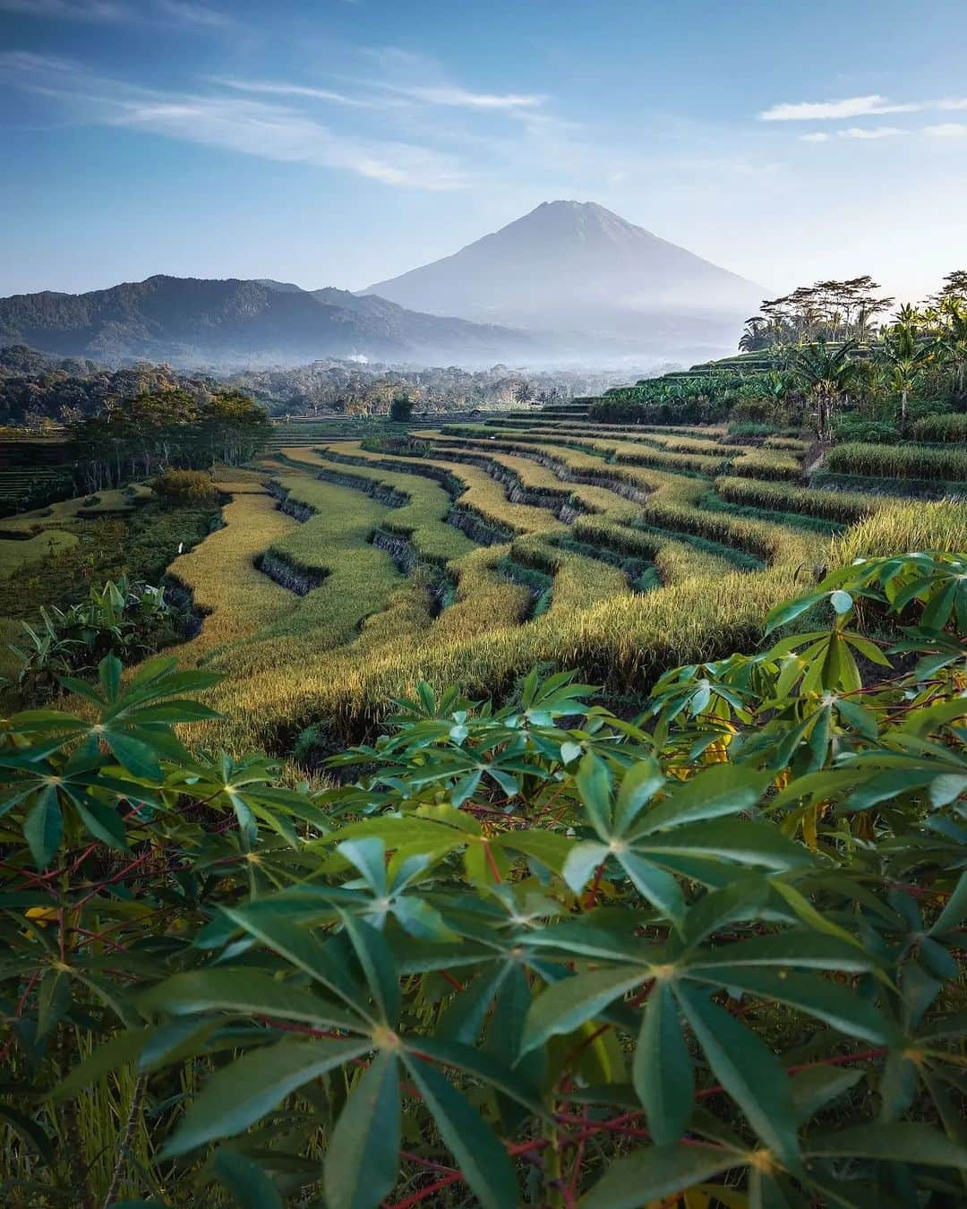 FUJIFILM INDONESIAのインスタグラム：「Foto karya @ion.hazardas di Sawah Kajoran, Magelang menyajikan terasering yang sederhana menjadi panggung bagi keajaiban warna. Dengan latar belakang megah Gunung Sumbing, area persawahan ini menghadirkan keindahan yang memukau. Setiap terasnya membentuk sebuah pola guratan warna yang harmonis, menyatu dalam satu fragmen foto.  Dalam foto ini, kamera Fujifilm X-T1 menjadi penyaji warna. Kamera ini memiliki mode pengaturan warna yang fleksibel sehingga kamera bisa menyajikan gambaran alam sebagaimana mestinya dengan warna yang natural.   Mari, berlayarlah dalam keindahan alam dan bawa kamera Fujifilm sebagai kotak ajaibmu. Biarkan warna-warni alam itu membuai jiwa dan melukis kisah yang tak terlupakan!  Captured by @ion.hazardas Using Fujifilm X-T1 Lens Fujinon XF10-24mmF4 R OIS WR  #XT1 #XT1_id #XF1024MMF4ROISWR #Fujifilm_id #FujifilmIndonesia」