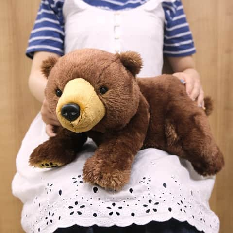 ヴィレッジヴァンガードオンラインストアのインスタグラム：「．🐻🍯  【癒しぬいぐるみ】ひざくまＭ BR  ひざシリーズにBIGサイズ！ ヒグマをモデルにした「ひざくま」が新登場！  ちょっとリアルなクマがかわいい🐻❤  #インテリア #かわいい雑貨 #おもしろ雑貨 #雑貨 #ヴィレヴァン雑貨 #ヴィレヴァン #ヴィレヴァンオンライン #ヴィレッジヴァンガード」