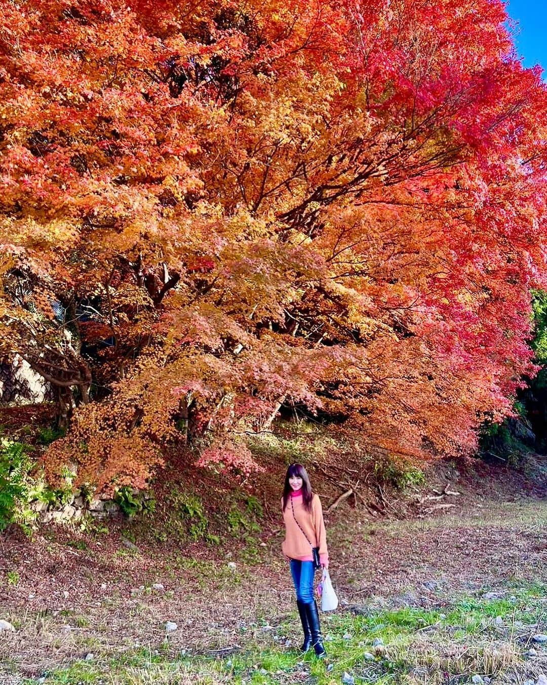 山田佳子さんのインスタグラム写真 - (山田佳子Instagram)「紅葉お散歩…🍁" ⁡ #色とりどり #紅葉  #晩秋の景色 #自然の美しさ #癒される #🍁 #自然散策 #紅葉散歩 #11月25日 #瑞宝寺公園 #有馬」11月28日 20時04分 - yoshiko117