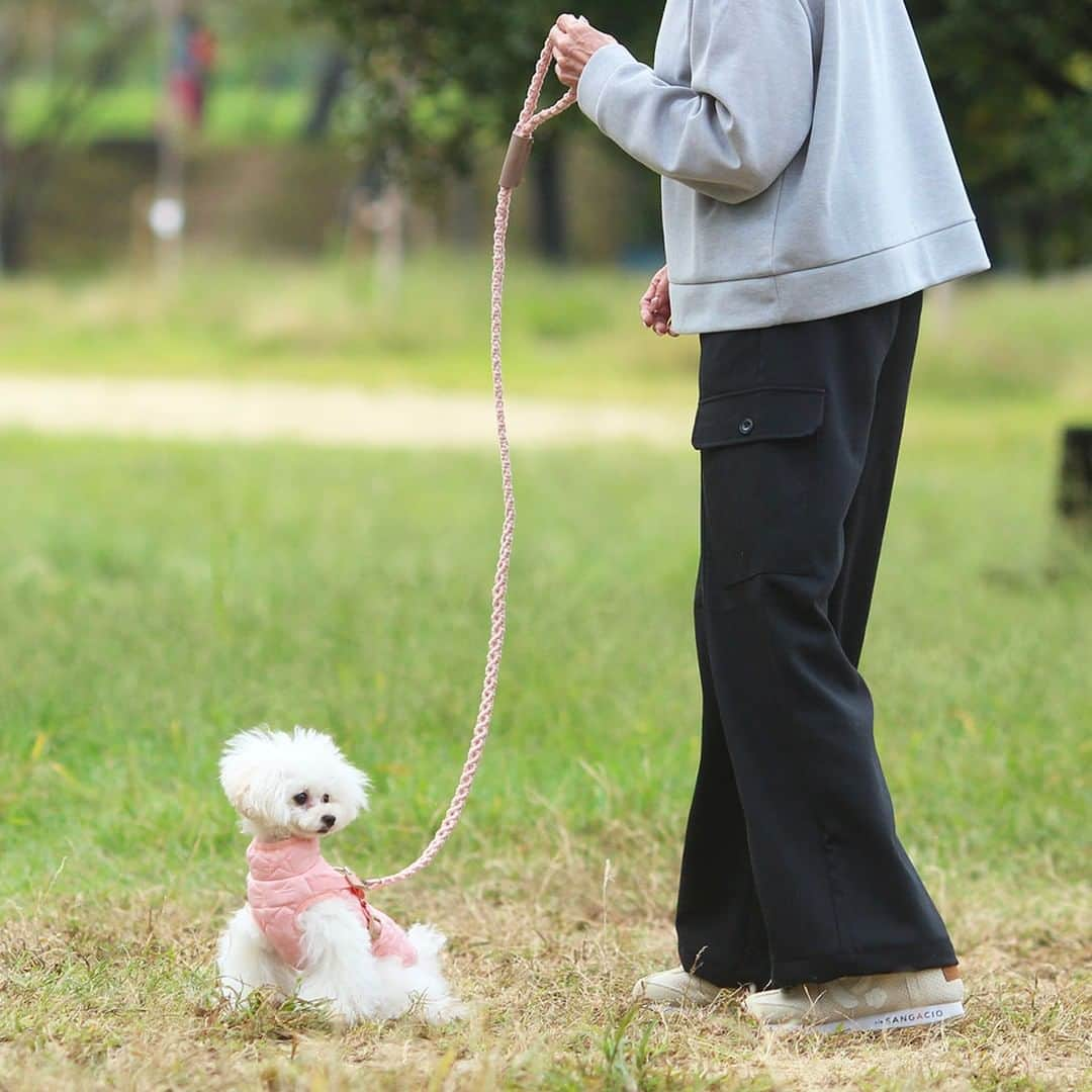 iDog&iCatさんのインスタグラム写真 - (iDog&iCatInstagram)「★新商品★  「マクラメ編みリード」  ナチュラルな風合いがオシャレなマクラメ編みの手編みリード。 スライドロック式の軽いナスカンを採用して安全性にも配慮しました。  コットン紐で丁寧に編み込まれた、マクラメ編みリードです。 落ち着いたカラーの編みリードとレザーカバーで上品な仕上がりです。 金具は軽くて安全性の高いものを厳選。ナチュラルなのにしっかり安全なリードに仕上がりました。  商品番号/17128 商品名/マクラメ編みリード 4,290円(税込)  #IDOGICAT #犬の服IDOG #ICAT #IDOG #リード #お散歩 #犬用リード #犬 #猫 #新作 #新発売 #dog #cat #わんすたぐらむ #うちの子優勝 #新商品」11月28日 14時36分 - idogicat