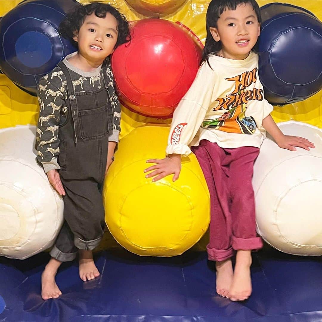 森本容子のインスタグラム：「仲良しだねー✨」