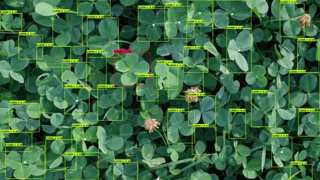 スプツニ子!のインスタグラム：「【SOUND ON🔈】My new video installation "Drone in Search of a Four-Leaf Clover" is on display at the 21st Century Museum of Contemporary Art Kanazawa as part of the DXP exhibition since October. The new work employs AI image analysis to swiftly locate the "four-leaf clover of happiness," a childhood treasure hunt many of us embarked upon. But even if AI can efficiently scour the world for these clovers of joy, can it truly bring us happiness?  The DXP exhibition runs until March 17, 2024. It's a fascinating exhibition where 23 teams of experts from 11 countries, including artists, architects, and scientists, explore the relationship between technology and humanity from various perspectives.  You can find more information about the exhibition here: https://www.kanazawa21.jp/data_list.php?g=81&d=221 More about my work here: https://sputniko.com/Drone-in-search-for-a-four-leaf-clover  Participating Artists: ・AFROSCOE (Republic of Ghana) ・Refik Anadol (Turkey, USA) ・ANREALAGE (Japan) ・Shruti Belliappa & Kiraṇ Kumār (India) ・ GROUP (Japan) ・ HATRA+Yuma Kishi (Japan) ・ Keiken (Japan, U.K., Mexico) ・ Tomihiro Kono (Japan) ・MANTLE: Shu Isaka + Soshi Nakamura (Japan) ・Shoei Matsuda (Japan) ・David OReilly (Ireland) ・ Takashi Ikegami Laboratory, University of Tokyo (Supported by Hiroshi Ishiguro Laboratory, University of Osaka) ・ VUILD (Japan) ・ Jonathan Zawada (Australia) ・Merve Akdogan (Turkey) ・David Blandy (UK) ・DEF CON 26 (Germany) ・Bert Chan, Takashi Ikegami Laboratory, The University of Tokyo (Hong Kong, Japan) ・Sarah Ciraci (Italy) ・Homei Miyashita Laboratory, Meiji University (Japan) ・Emi Kusano (Japan) ・MANTLE: Shu Isaka+Soshi Nakamura (Japan) ・Till Nowak (Germany) ・Sputniko! (Japan) ・David OReilly (Ireland)」