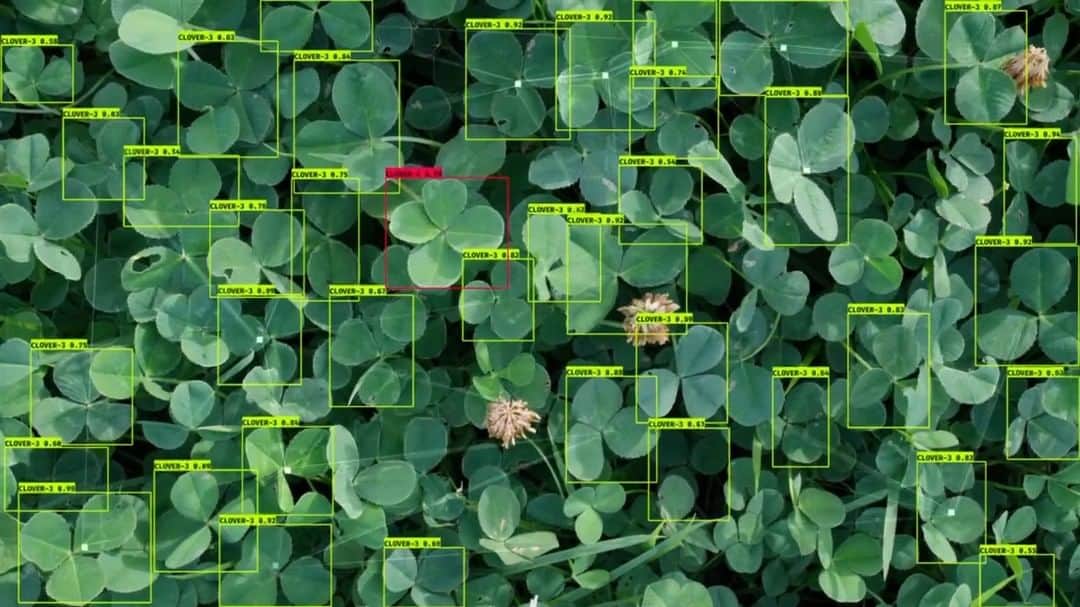 スプツニ子!のインスタグラム：「【SOUND ON🔈】My new video installation "Drone in Search of a Four-Leaf Clover" is on display at the 21st Century Museum of Contemporary Art Kanazawa as part of the DXP exhibition since October. The new work employs AI image analysis to swiftly locate the "four-leaf clover of happiness," a childhood treasure hunt many of us embarked upon. But even if AI can efficiently scour the world for these clovers of joy, can it truly bring us happiness?  The DXP exhibition runs until March 17, 2024. It's a fascinating exhibition where 23 teams of experts from 11 countries, including artists, architects, and scientists, explore the relationship between technology and humanity from various perspectives.  You can find more information about the exhibition here: https://www.kanazawa21.jp/data_list.php?g=81&d=221 More about my work here: https://sputniko.com/Drone-in-search-for-a-four-leaf-clover  Participating Artists: ・AFROSCOE (Republic of Ghana) ・Refik Anadol (Turkey, USA) ・ANREALAGE (Japan) ・Shruti Belliappa & Kiraṇ Kumār (India) ・ GROUP (Japan) ・ HATRA+Yuma Kishi (Japan) ・ Keiken (Japan, U.K., Mexico) ・ Tomihiro Kono (Japan) ・MANTLE: Shu Isaka + Soshi Nakamura (Japan) ・Shoei Matsuda (Japan) ・David OReilly (Ireland) ・ Takashi Ikegami Laboratory, University of Tokyo (Supported by Hiroshi Ishiguro Laboratory, University of Osaka) ・ VUILD (Japan) ・ Jonathan Zawada (Australia) ・Merve Akdogan (Turkey) ・David Blandy (UK) ・DEF CON 26 (Germany) ・Bert Chan, Takashi Ikegami Laboratory, The University of Tokyo (Hong Kong, Japan) ・Sarah Ciraci (Italy) ・Homei Miyashita Laboratory, Meiji University (Japan) ・Emi Kusano (Japan) ・MANTLE: Shu Isaka+Soshi Nakamura (Japan) ・Till Nowak (Germany) ・Sputniko! (Japan) ・David OReilly (Ireland)」