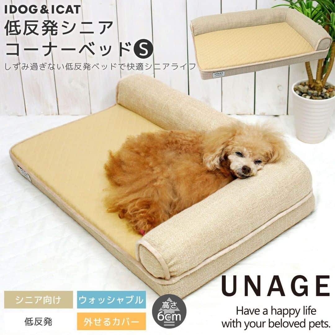 iDog&iCatさんのインスタグラム写真 - (iDog&iCatInstagram)「シニアペットのことを考えて作られた介護ベッド unage【アンエイジ】シリーズ  低反発素材と高密度ウレタンの2層構造で体圧分散を図り、足が沈みすぎずに寝がえりは楽に行えるように工夫した介護用ベッドです。  低く設定した高さで、ベッドへの昇り降りも負担が少ないです。 長い時間をベッドで過ごすシニア期のパートナーが少しでも快適に過ごせるようにと開発したウェルネスベッドです。  ベッドで過ごす時間が多くなるシニア期を迎えたペットには、負担が少なく過ごしやすいベッドでサポートしてあげてください🍀  https://www.idog.jp/c/idog-dog-house/idog-dog-senior-bed  #iDog #iDogiCat #iCat #シニア犬 #シニア猫 #ペットベッド #シニアベッド」11月28日 15時41分 - idogicat