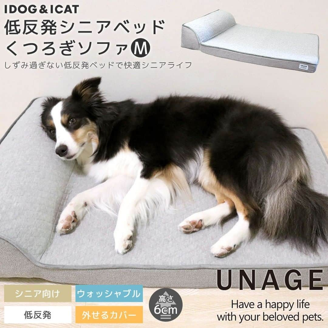 iDog&iCatさんのインスタグラム写真 - (iDog&iCatInstagram)「シニアペットのことを考えて作られた介護ベッド unage【アンエイジ】シリーズ  低反発素材と高密度ウレタンの2層構造で体圧分散を図り、足が沈みすぎずに寝がえりは楽に行えるように工夫した介護用ベッドです。  低く設定した高さで、ベッドへの昇り降りも負担が少ないです。 長い時間をベッドで過ごすシニア期のパートナーが少しでも快適に過ごせるようにと開発したウェルネスベッドです。  ベッドで過ごす時間が多くなるシニア期を迎えたペットには、負担が少なく過ごしやすいベッドでサポートしてあげてください🍀  https://www.idog.jp/c/idog-dog-house/idog-dog-senior-bed  #iDog #iDogiCat #iCat #シニア犬 #シニア猫 #ペットベッド #シニアベッド」11月28日 15時41分 - idogicat