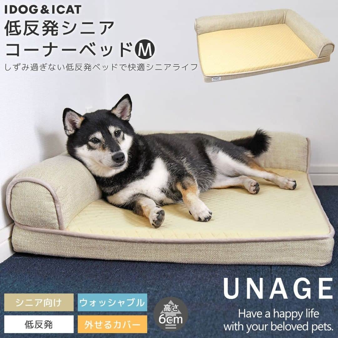 iDog&iCatさんのインスタグラム写真 - (iDog&iCatInstagram)「シニアペットのことを考えて作られた介護ベッド unage【アンエイジ】シリーズ  低反発素材と高密度ウレタンの2層構造で体圧分散を図り、足が沈みすぎずに寝がえりは楽に行えるように工夫した介護用ベッドです。  低く設定した高さで、ベッドへの昇り降りも負担が少ないです。 長い時間をベッドで過ごすシニア期のパートナーが少しでも快適に過ごせるようにと開発したウェルネスベッドです。  ベッドで過ごす時間が多くなるシニア期を迎えたペットには、負担が少なく過ごしやすいベッドでサポートしてあげてください🍀  https://www.idog.jp/c/idog-dog-house/idog-dog-senior-bed  #iDog #iDogiCat #iCat #シニア犬 #シニア猫 #ペットベッド #シニアベッド」11月28日 15時42分 - idogicat