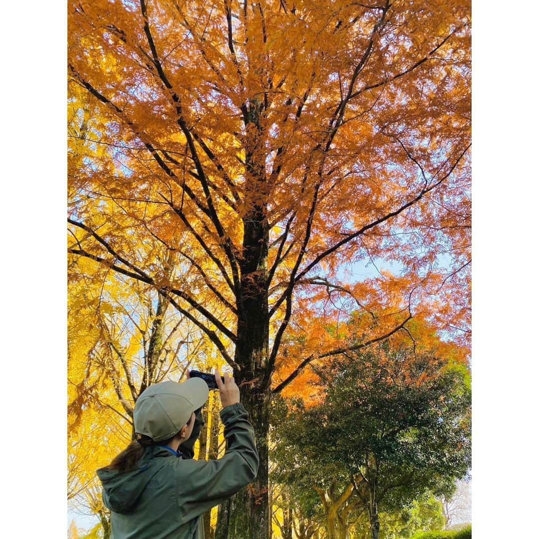 伴都美子さんのインスタグラム写真 - (伴都美子Instagram)「✔️ ⁡ 秋ですね。　 公園の木々も紅葉を迎えとても清々しい季節。 ⁡ というわけで、 スガッシュさんとウォーキング。 ポジティブな話題であっという間の1時間半。 ⁡ 今日は公園の主にも会えました🐈‍⬛ ⁡  心身健やか､軽やかに。  ⁡ ⁡ #DoAsInfinity #伴都美子  #スガッシュ さん#ウォーキング  #2023秋 #紅葉 #🍁 #autumncolors」11月28日 15時44分 - van._doasinfinity