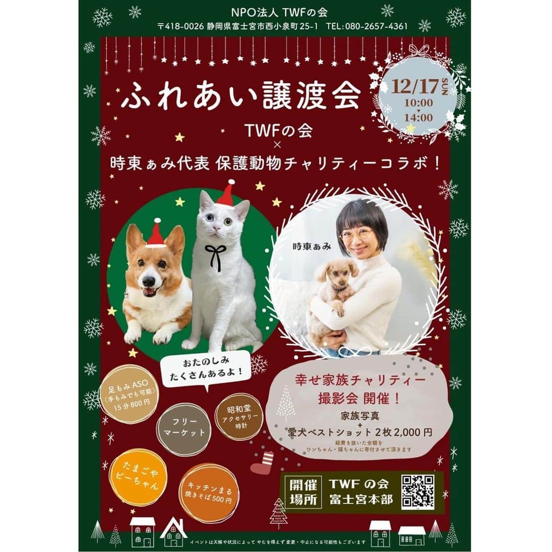 時東ぁみさんのインスタグラム写真 - (時東ぁみInstagram)「静岡県で保護犬猫譲渡会イベントやらせていただきます🐶🐱 ・ 12/17(日)10:00-14:00 譲渡会コラボイベント開催🐾  『ふれあい譲渡会』  NPO法人 TWFの会さんが毎月やってる譲渡会に“幸せ家族チャリティー”がコラボさせていただきます！  【開催場所】TWFの会　富士宮本部 静岡県富士宮市西小泉町25-1 080-2657-4361  【保護施設】NPO法人 TWFの会 こちらで保護されている犬猫が里親を待ってます🐶😸 @twfnokai @twfnokai_02   私のやっている保護動物チャリティー［幸せ家族チャリティー］は撮影会です！ @shiawase_family   家族写真+ペットベストショット　2枚2000円 経費を抜いた全額寄付！ ・ 譲渡をする前に触れ合えますし、ペットを連れて遊びに来るだけでもチャリティーになります！ 私はずっといるので私に会いに来てくれるだけでも♡w お待ちしてます！ ・ #時東ぁみ #保護犬 #保護猫 #譲渡会 #twfの会 #ふれあい譲渡会 #静岡県 #富士宮  #幸せな家族写真 #撮影会 #幸せ家族 #家族写真 #幸せ家族チャリティー #撮影 #ペット撮影 #チャリティー #動物チャリティー #ペット #犬好き #猫好き #犬好き集まれ #猫好き集まれ  #富士宮焼きそば #富士宮お好み焼き #時計 #足もみ #フリマ #卵 #コラボイベント」11月28日 16時34分 - amitokito