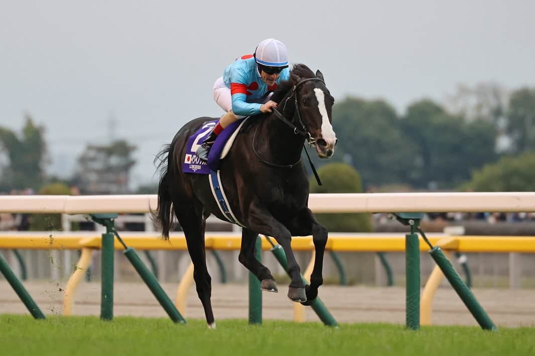 クリストフ・ルメールのインスタグラム：「Equine perfection = Equinox! 🐎💨  #JapanCup #HorseRacing #Equinox #Horses #M3Racing #CL」