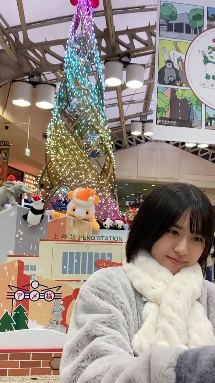 冨波心のインスタグラム：「・  あと1ヶ月ですね↟⍋  道端でクリスマスツリーを 見るのが楽しいです♡  #冨波心 #スターダストプロモーション #高校生 #高校1年生 #女子高校生 #jk #jk1 #fjk #07 #16 #16yrs #kokoro #kokorotoba #japan #japanesegirl」