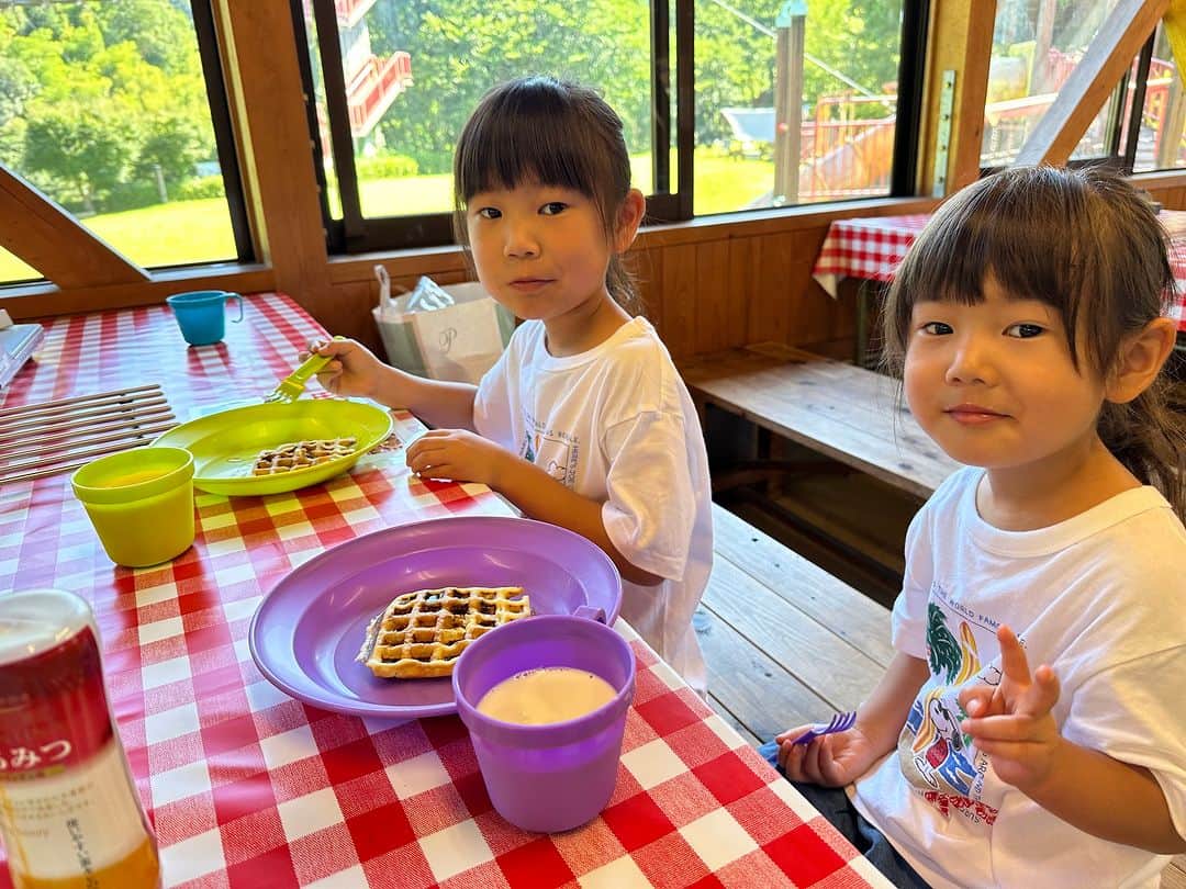 伊勢志摩エバーグレイズさんのインスタグラム写真 - (伊勢志摩エバーグレイズInstagram)「【エバーグレイズ香肌峡】 エバーグレイズのモーニングといえば？ フレンチトーストですよね🍞 ですが、エバーグレイズ香肌峡のモーニングはアメリカンワッフルをセルフメイキングスタイルでご提供🧇 自分たちで焼けるので、お子様にも大人気！ お好みにアレンジしてお召し上がりください🍴  #エバーグレイズ香肌峡 #エバキャン #アメリカン #アウトドア #キャンプ #三重県 #松阪市 #飯南町 #香肌峡 #三重旅行 #ファミリーキャンプ #ファミキャン #オートキャンプ #三重県キャンプ場 #犬とキャンプ #モーニング #アメリカンワッフル」11月28日 17時00分 - everglades_official