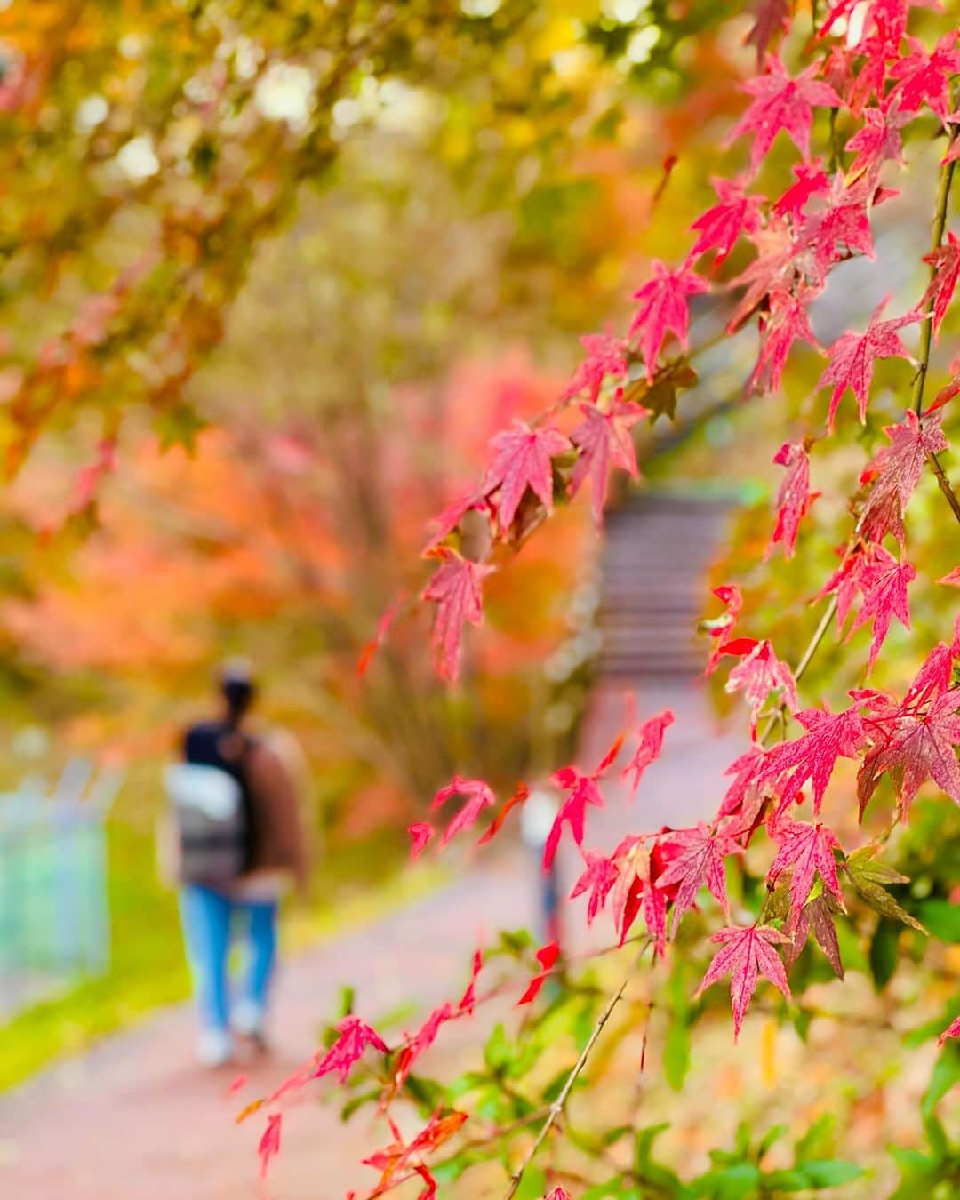 福岡女子短期大学さんのインスタグラム写真 - (福岡女子短期大学Instagram)「💠1／365Days  ▶︎▷▶︎▷スワイプしてください▶︎▷▶︎▷  本日キャンパス内で撮影した スナップ写真をご紹介します。  表紙の写真は 子ども学科1年生の皆さん 元気いっぱい楽しそうです✨  放課後はクリスマスツリーの前で 撮影に協力いただきました🤝  4時限終わってからの時間 イルミネーションが綺麗です  キャンパス内で撮影してますので 撮っても大丈夫👌って時は 気軽に声をかけてください🍀  この投稿をご覧になって「いいね👍」「役に立った」と思われた方は、 @fukuoka_wjc をフォローをお願いします🥺 . ========[ お知らせ ]======== 福岡女子短期大学の資料（2024大学案内📕学生募集要項）を無料送付中です。プロフィールのリンクからお気軽に申し込みください🌟 ========================= . 子ども学科/健康栄養学科 音楽科/文化教養学科 . 福岡女子短期大学 住所：‪‪‪‪福岡県太宰府市五条四丁目16番‬1号‬‬‬ tel：‪‪‪092-922-4034‬‬‬（代表)  #福岡女子短期大学 #ストリートスナップ #虹が出た　#rainbow #rainbowsixsiege  #ダレカニミセタイケシキ  #イマソラ #写真好きな人と繋がりたい #アオハル　#放課後 #青春フォトグラフ」11月28日 17時13分 - fukuoka_wjc