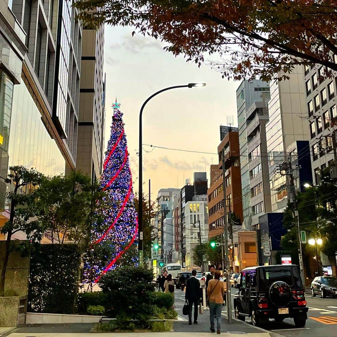 園崎未恵のインスタグラム：「クリスマスツリーがウォームアップしはじめた。 #omotesando」