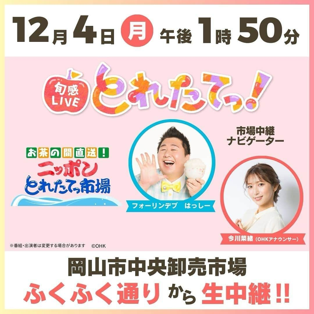 岡山放送さんのインスタグラム写真 - (岡山放送Instagram)「⭐️岡山から生中継！⭐️ 12月4日(月)午後1時50分〜放送の 『旬感LIVEとれたてっ！』は 岡山市中央卸売市場ふくふく通りから 生中継いたします📹✨  「お茶の間直送！ニッポンとれたてっ！市場」のコーナーで、フォーリンデブはっしーさん&OHK今川菜緒アナが、視聴者の方にプレゼントするグルメを市場で厳選‼️  詳しくは12月4日のとれたてっ！をチェックして下さい☺️💓  #ohk #岡山 #岡山グルメ #とれたて #プレゼント」11月28日 18時04分 - ohk_official