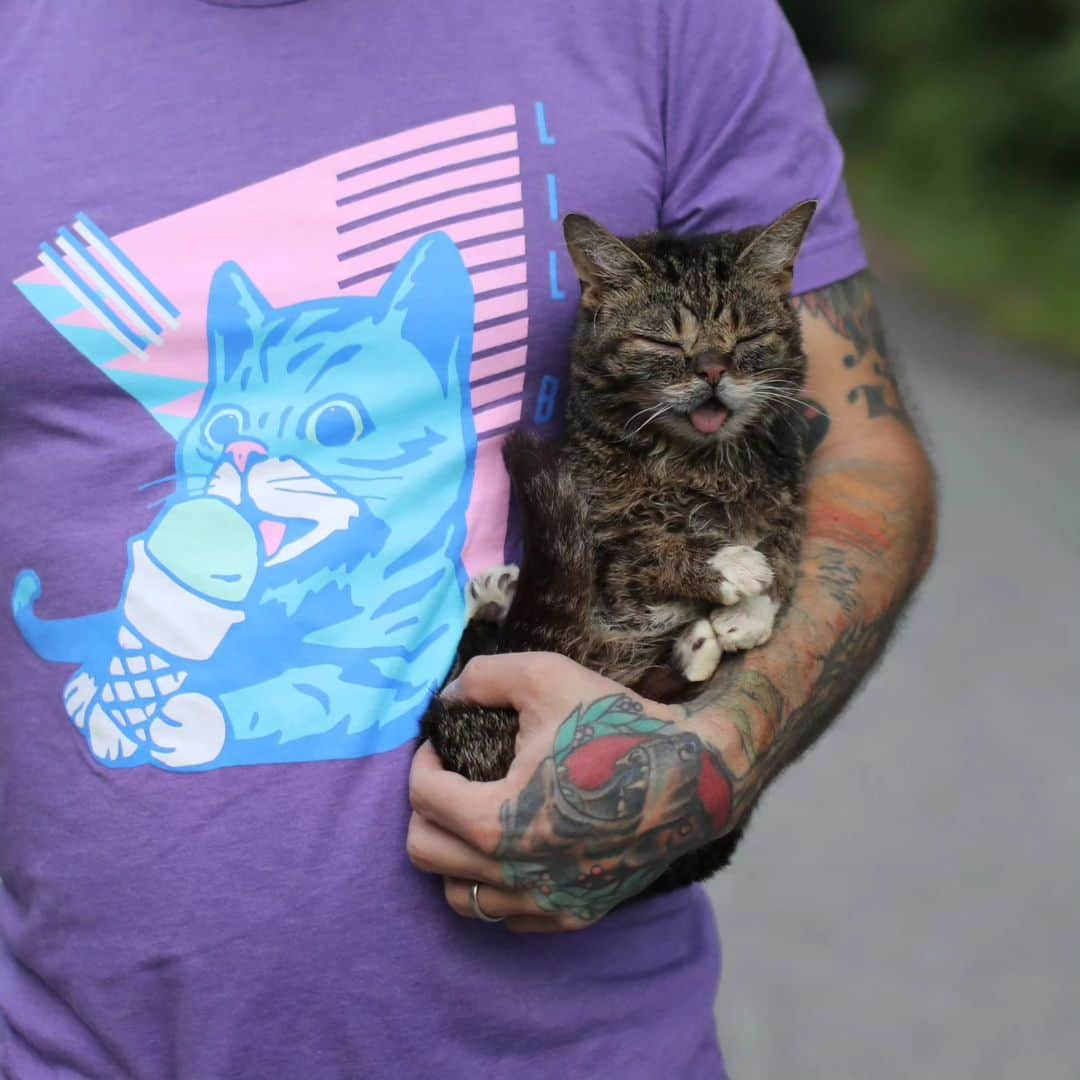 Lil BUBさんのインスタグラム写真 - (Lil BUBInstagram)「For Giving Tuesday, we've made every single out-of-print BUB Shirt (14 of them!) available at the link in BUB's bio (www.lilbub.com/store) - but for only two days!  Get 25% off and two free gifts with a $10 donation at check out to Lil BUB's Big FUND for Special Needs Pets  50% of net proceeds of today's sales in the BUB STORE benefit special needs pets.  Thanks to your support, we've assisted 408 special needs pets and facilitated 183 heartfelt adoptions. GOOD JOB BUB  #goodjobbub #lilbub #givingtuesday #lilbubsbigfund」11月29日 5時18分 - iamlilbub