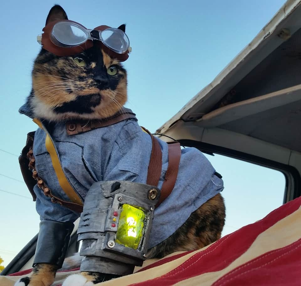 猫コスプレのインスタグラム：「War. War never changes... the litter box.  #Fallout  . . . . #falloutcosplay #falloutmemes #vaultdweller #fallout3 #catcosplay #cosplay #cosplayer #cat #catcostume #catsinclothes #petclothes #PetCostume #pipboy #postapocalyptic #vaultboy」