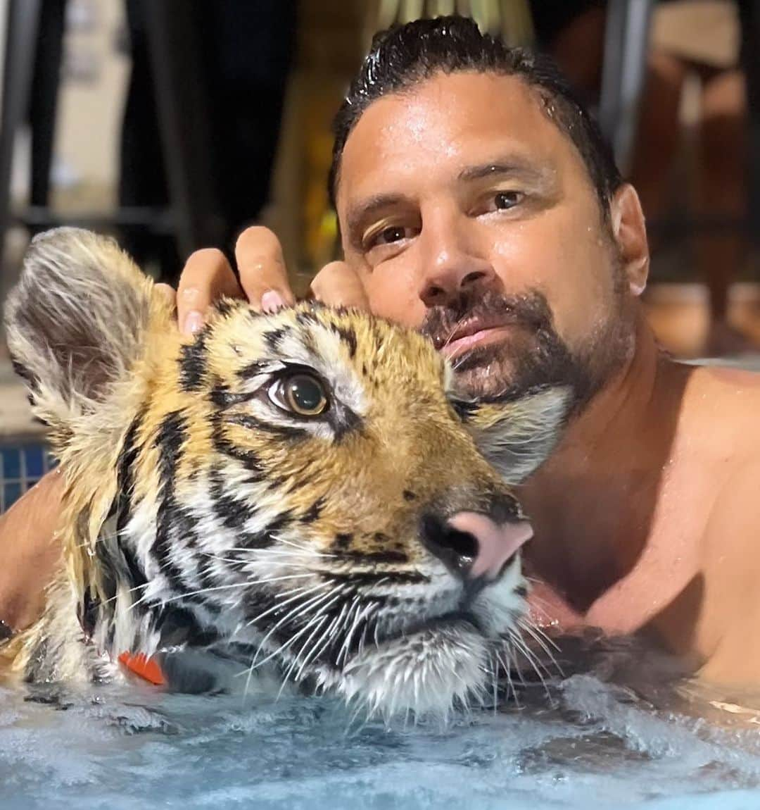 マヌー・ベネットさんのインスタグラム写真 - (マヌー・ベネットInstagram)「Tiger Bath! Thanks @realsultankhoory #thedubaifarm is an amazing place!!!」11月29日 4時55分 - manubennett