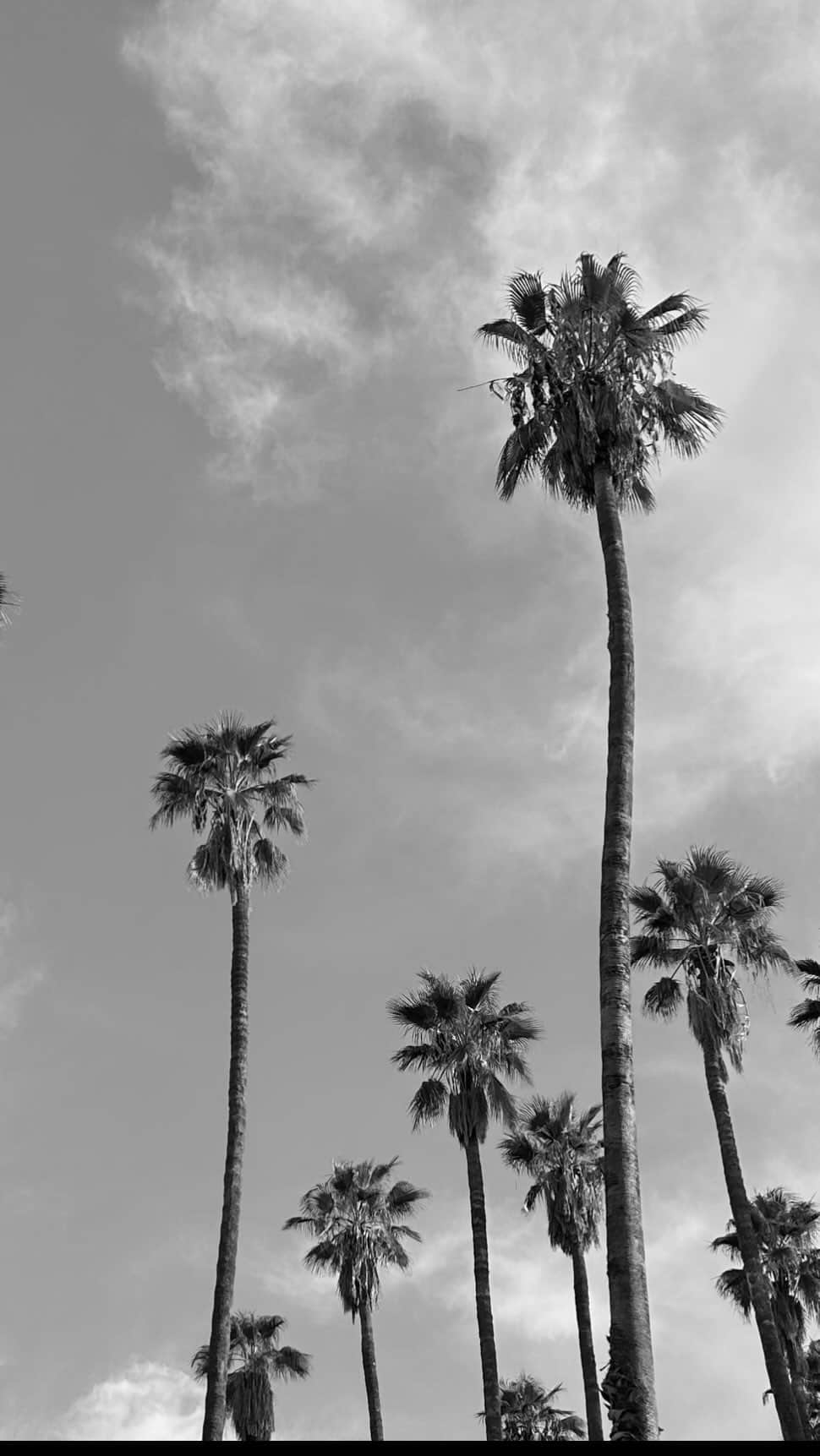 フローラ・コケレルのインスタグラム：「8 secondes à Marrakech 🤍」