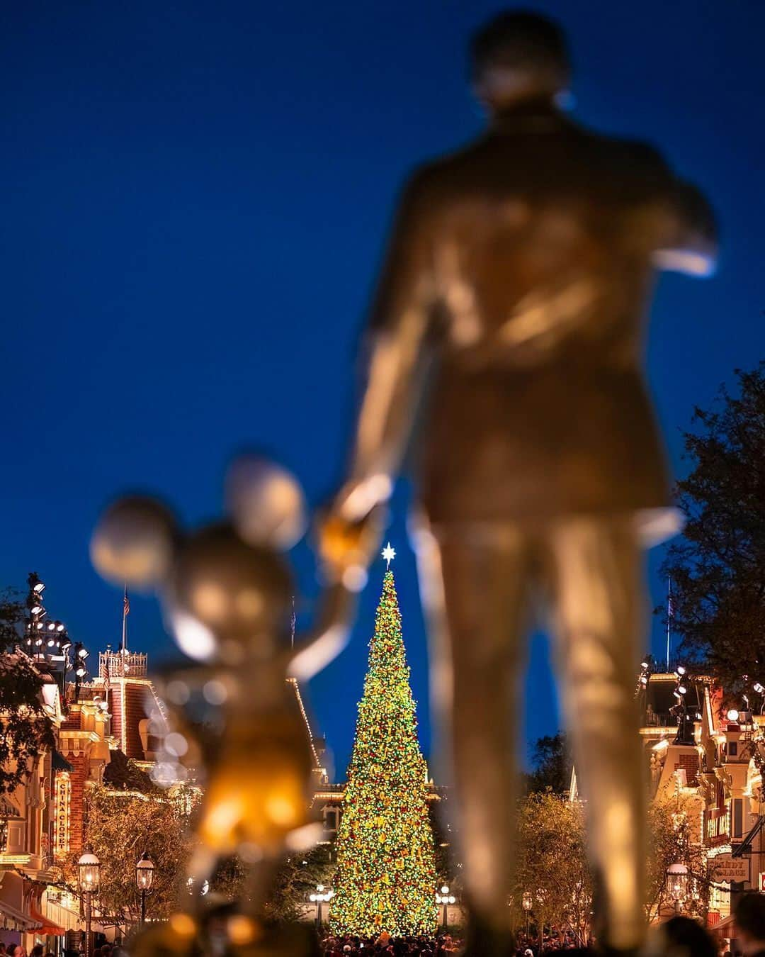 ディズニーランドのインスタグラム：「There's no place like #Disneyland for the holidays🎄 ❄️ Share your favorite Disneyland holiday memory with us! (📸: tagged)」