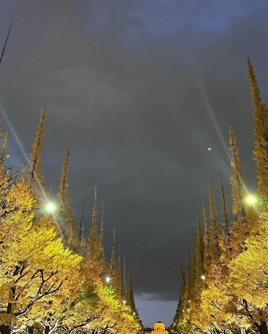 natsumiさんのインスタグラム写真 - (natsumiInstagram)「🍂♡ ㅤㅤㅤㅤㅤㅤㅤㅤㅤㅤㅤㅤㅤ はじめてライトアップのいちょう並木いけた✨ 終始にこにこ爆笑でした🤣 ㅤㅤㅤㅤㅤㅤㅤㅤㅤㅤㅤㅤㅤ ㅤㅤㅤㅤㅤㅤㅤㅤㅤㅤㅤㅤㅤ ㅤㅤㅤㅤㅤㅤㅤㅤㅤㅤㅤㅤㅤ #外苑前いちょう並木 #いちょう並木 #いちょう」11月28日 20時12分 - iskw_ntm