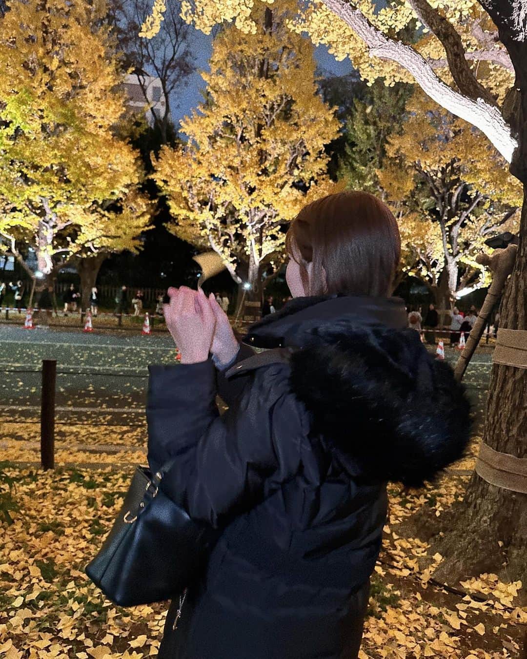 natsumiさんのインスタグラム写真 - (natsumiInstagram)「🍂♡ ㅤㅤㅤㅤㅤㅤㅤㅤㅤㅤㅤㅤㅤ はじめてライトアップのいちょう並木いけた✨ 終始にこにこ爆笑でした🤣 ㅤㅤㅤㅤㅤㅤㅤㅤㅤㅤㅤㅤㅤ ㅤㅤㅤㅤㅤㅤㅤㅤㅤㅤㅤㅤㅤ ㅤㅤㅤㅤㅤㅤㅤㅤㅤㅤㅤㅤㅤ #外苑前いちょう並木 #いちょう並木 #いちょう」11月28日 20時12分 - iskw_ntm
