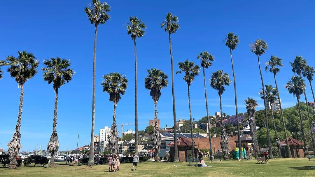 樺澤まどかさんのインスタグラム写真 - (樺澤まどかInstagram)「🇦🇺  いまだに自分がここに住んでることが信じられない！  もっともーっと楽しみたい🔥🔥  #樺澤まどか  #オーストラリア#ワーホリ#ワーキングホリデー#ギリホリ#シドニー#マンリー」11月28日 20時18分 - kabasawa_madoka