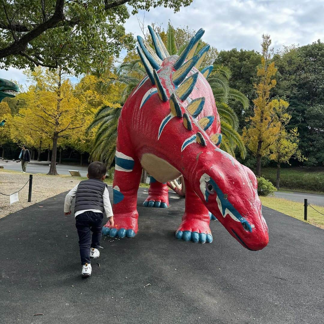 丹羽真由実さんのインスタグラム写真 - (丹羽真由実Instagram)「. 大井川鐵道 きかんしゃトーマス号に乗ってきました🚂 息子氏、大興奮😤😤😤 トーマスだけじゃなくて バスのバーティーや消防車のフリンもいたよ🚌🚒 写真や動画いっぱい撮りました😍  しかし、いざ乗ると、、、 「とーます、どこー？？」😅 そうだよねぇ、乗っちゃうとトーマス見えないよねぇ💦 それでも、動いているトーマスに 親も子も楽しめた乗車体験でした🚂  大井川鐵道やトーマス号については 鉄道アーティスト小倉沙耶さんが詳しく教えてくださいました🙏 @kokurasaya ありがとうございます❣️  また、今回の旅はお友達のHちゃんが 色々と手配してくれました🙏ありがとうー❣️❣️❣️ 皆さん、島田に行ったら平和タクシーをご利用下さい🚕  2枚目は、周りの皆さんが撮影しているので 私も慌てて撮ったんですが、これが連結というやつですか？ 次の日は、豊橋ののんほいパークで 大好きな恐竜を堪能しました🦖🦕  #大井川鐵道 #きかんしゃトーマス #トーマス #バーティー #フリン #子鉄 というほどでもないけどトーマス好き #子連れ旅行 #3歳男の子 #誕生日旅行 #連結 というやつですか？ #恐竜好き #恐竜 #愛知 #豊橋 #のんほいパーク」11月28日 20時19分 - mayumi_niwa