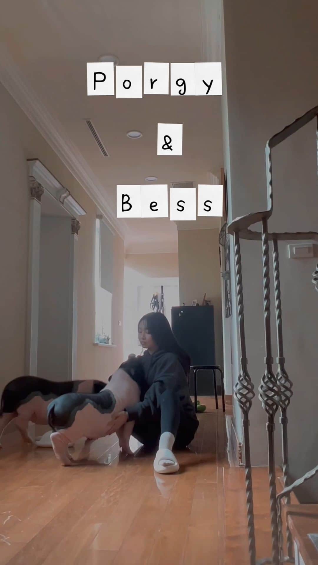 Kimberley Chenのインスタグラム：「🐷 porgy & bess 🐷」