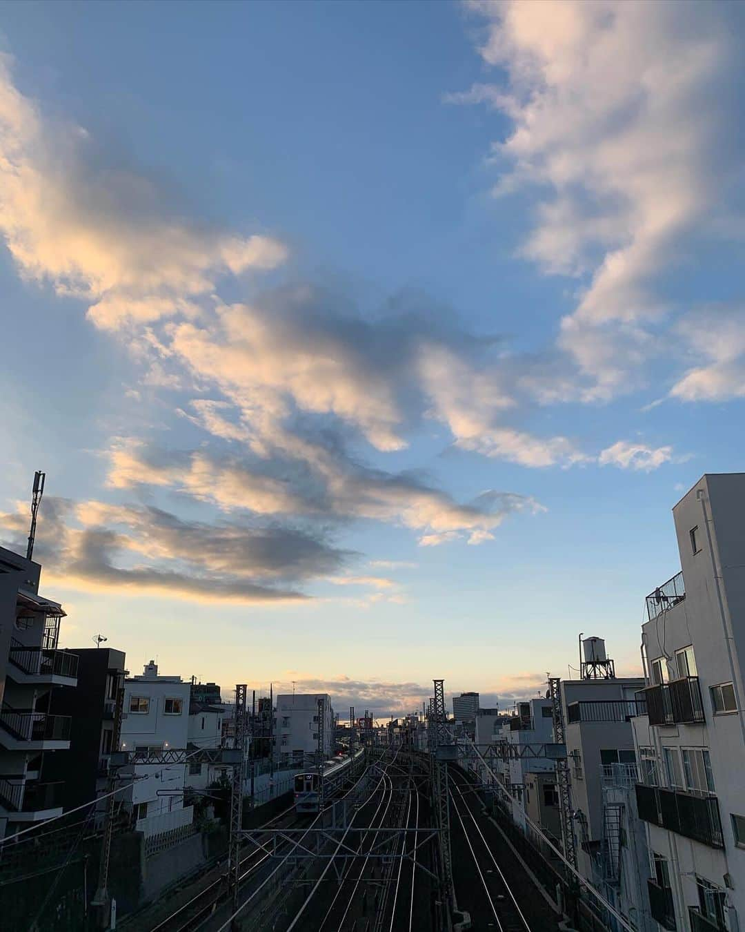 柴田ひかりさんのインスタグラム写真 - (柴田ひかりInstagram)「🌝🌾🍂🤍」11月28日 20時21分 - shibatahikari