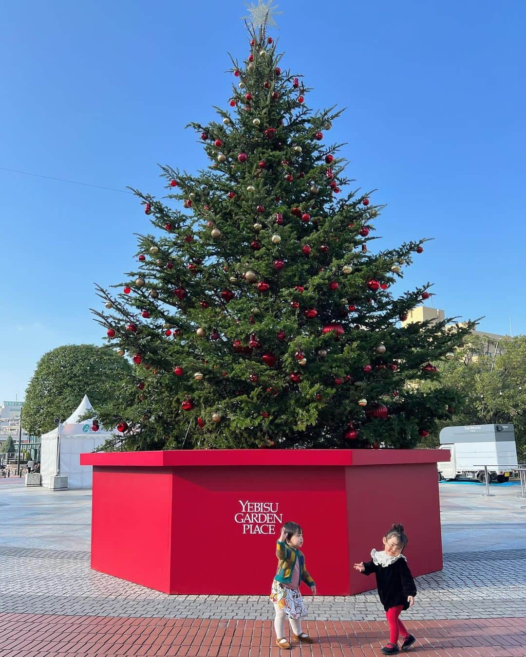 HALCAのインスタグラム：「言うなれば、ミニハルカリ🎄👭❤️‍🔥」