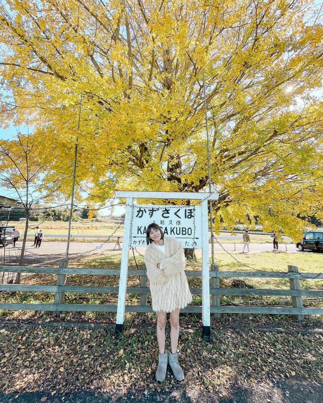 藤崎奈々子さんのインスタグラム写真 - (藤崎奈々子Instagram)「. ちょっと前にイチョウの大木を見にプチトリップ  上総久保という駅なんだけど、今年はこのイチョウが黄色になる頃に行くぞー！！ と密かに気合を入れていたけど、行ったら最盛期を少し過ぎていた…  来年は、最盛期を逃さぬよう計画を立てて見に行こう ・ 初おろしの @think_fur のカーディガンが、イチョウの黄色と合ってて可愛かった♡ ・ #小旅行 #ショートトリップ #上総久保駅 #上総久保駅のイチョウの木 #紅葉スポット #紅葉シーズン #イチョウの木 #thinkfur」11月28日 20時40分 - nanakofujisaki