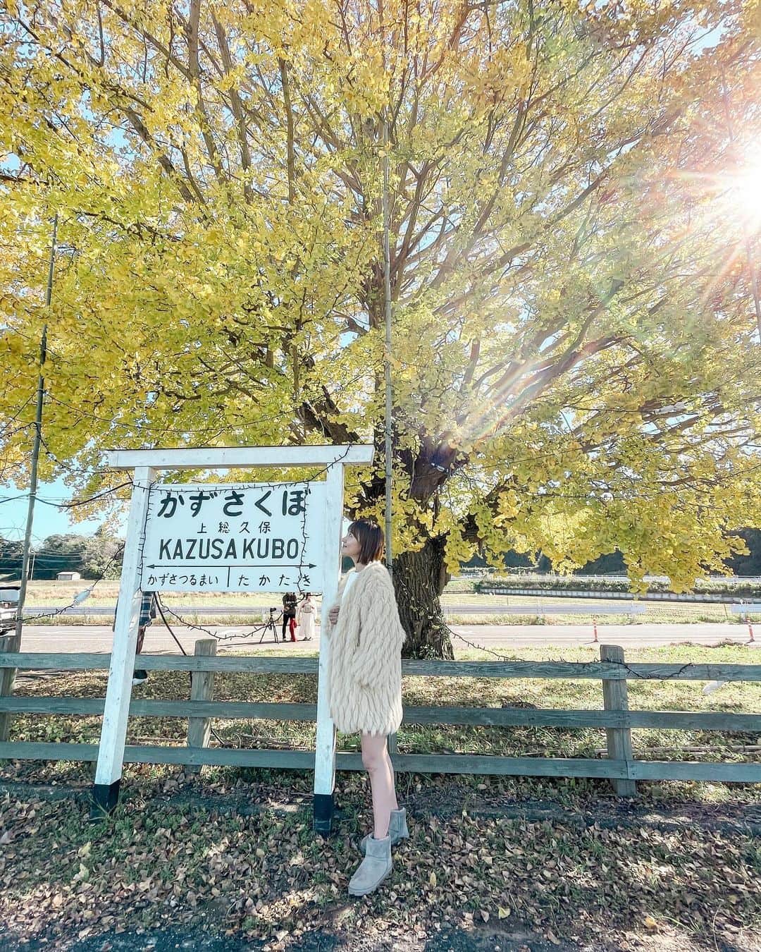 藤崎奈々子さんのインスタグラム写真 - (藤崎奈々子Instagram)「. ちょっと前にイチョウの大木を見にプチトリップ  上総久保という駅なんだけど、今年はこのイチョウが黄色になる頃に行くぞー！！ と密かに気合を入れていたけど、行ったら最盛期を少し過ぎていた…  来年は、最盛期を逃さぬよう計画を立てて見に行こう ・ 初おろしの @think_fur のカーディガンが、イチョウの黄色と合ってて可愛かった♡ ・ #小旅行 #ショートトリップ #上総久保駅 #上総久保駅のイチョウの木 #紅葉スポット #紅葉シーズン #イチョウの木 #thinkfur」11月28日 20時40分 - nanakofujisaki