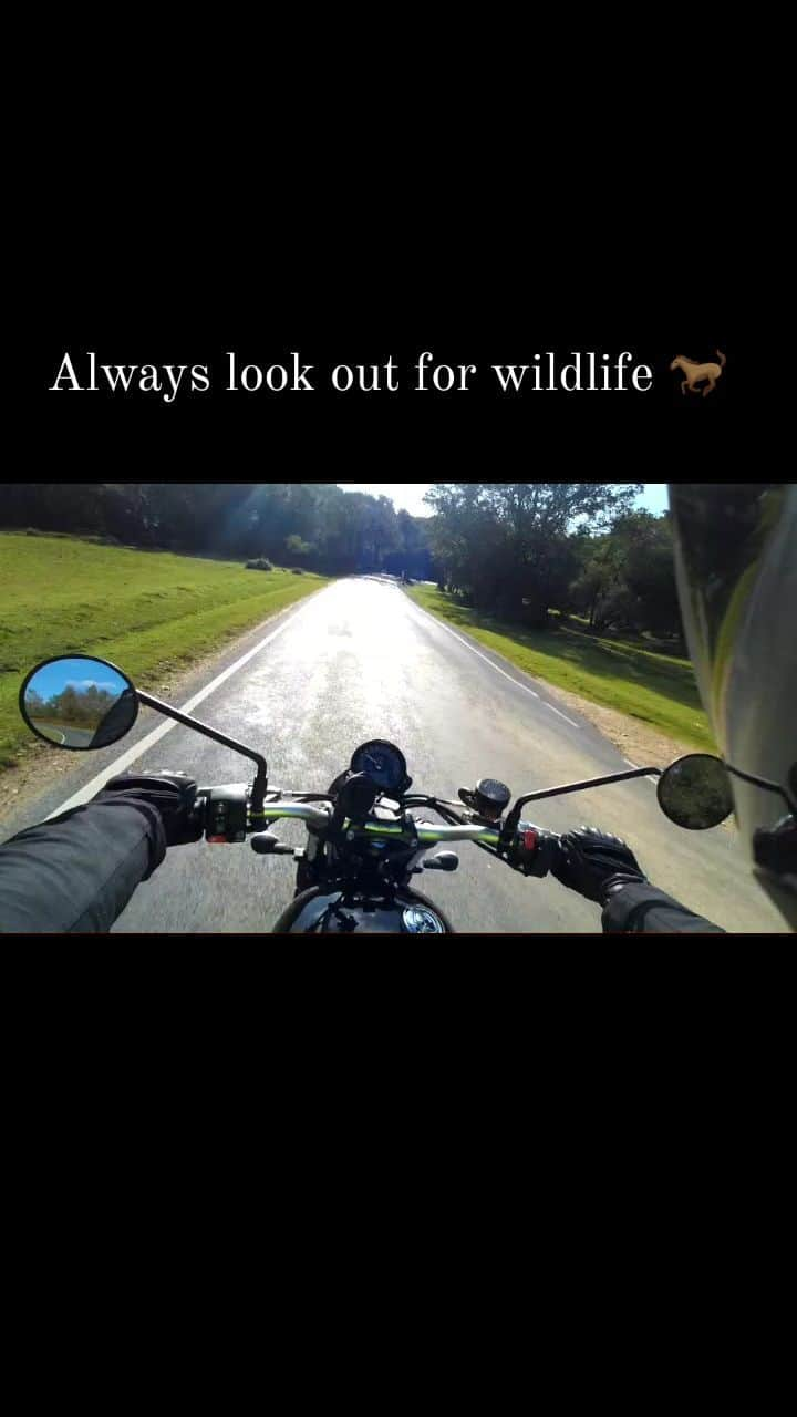 ジェームズ・フェルプスのインスタグラム：「I was out on the bike a few days ago and this chap was in the road. Thankfully I wasn't going fast and saw him in the shadows. No revs near him and we were both safe and happy.  By complete coincidence this song was playing at the same time!  #scrambler900 #triumph #bike #ridealong #horse #watchforwildlife #defleppard #animal #slowforhorses 🏍🐴😁」