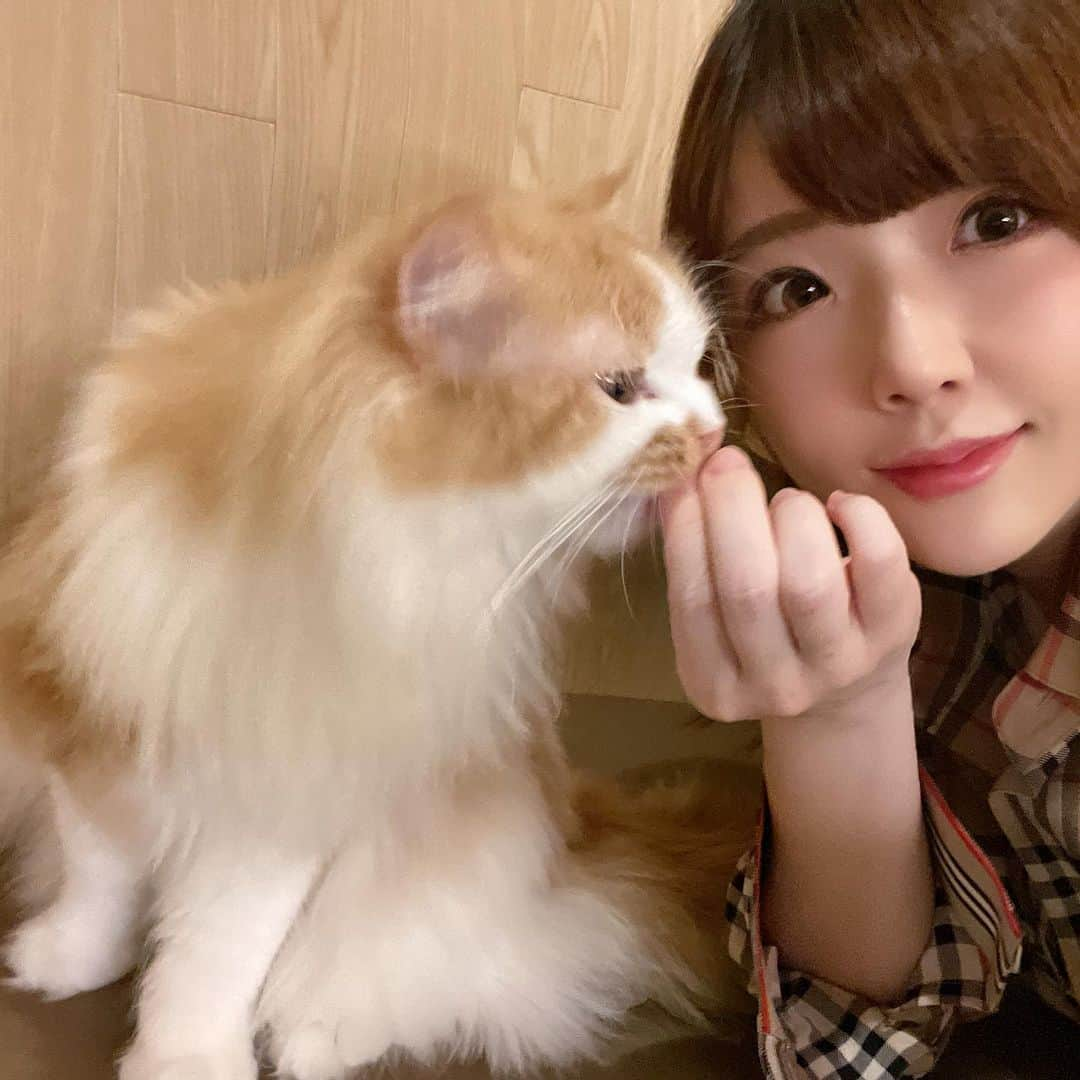 佐倉絆さんのインスタグラム写真 - (佐倉絆Instagram)「ハニーとまたmocha新宿店 @mocha.sinjyuku  にいってきたよ🐈💓 mochaは季節によって猫ちゃんもお洋服着たりしてて、 ハロウィンの時期だからコスプレの猫ちゃんもいたよ♥️🎃 みんな余計に可愛すぎる、、、 おやつあげたからまた大人気になれた🐱  ちなみにハニーが調べ事してたから、その間私はマリカーやって遊んだりしてました🤣 可愛い猫だけじゃなくて漫画もゲームもなんでもあるmocha最高 ちなみにココアが美味しすぎて6杯飲んだ😘  #猫カフェmocha #猫カフェ #mocha新宿店 #モカ新宿 #新宿猫カフェ #新宿カフェ #新宿 #いやしねこ #実は猫派です  #PR」11月28日 20時54分 - kizunasakura