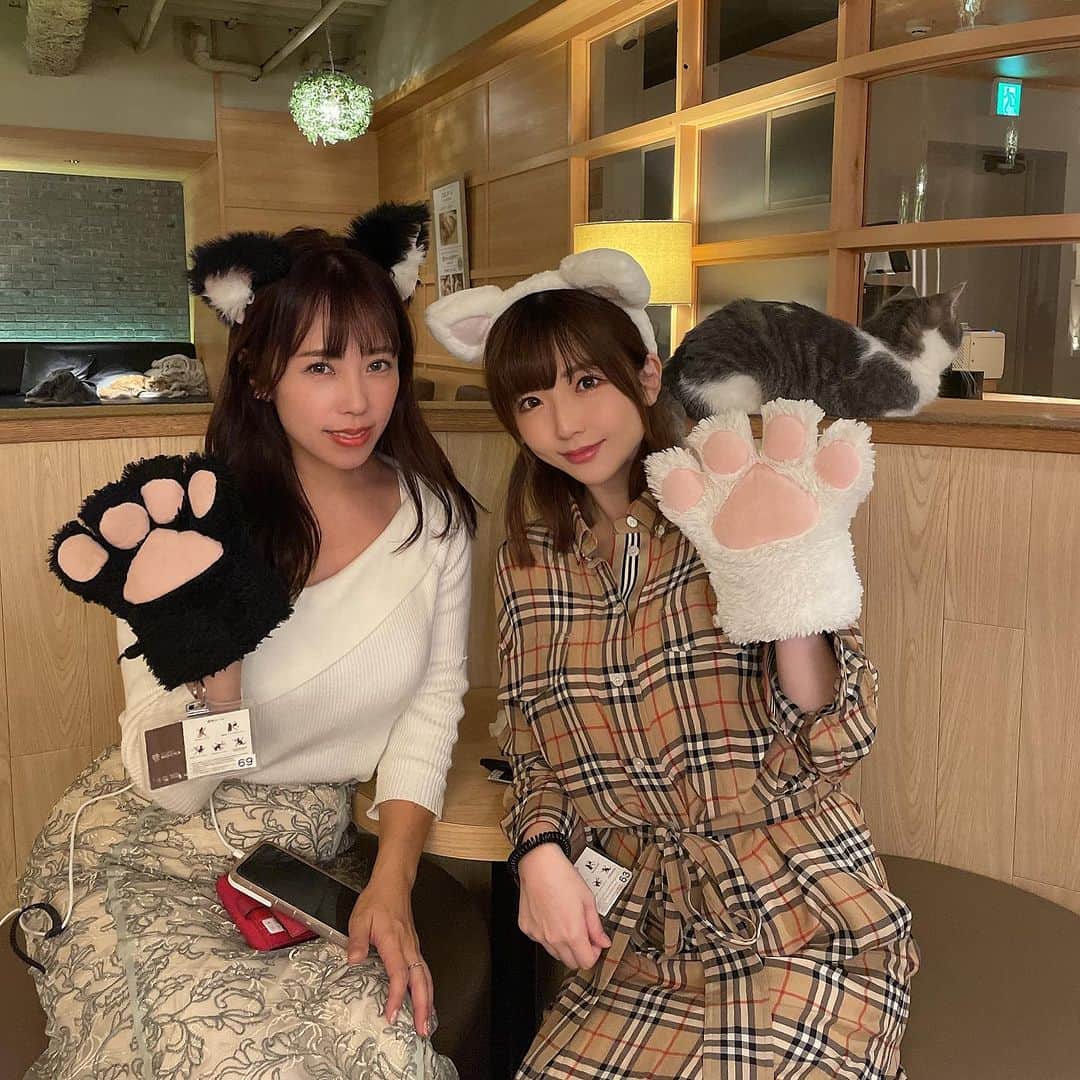 佐倉絆のインスタグラム：「ハニーとまたmocha新宿店 @mocha.sinjyuku  にいってきたよ🐈💓 mochaは季節によって猫ちゃんもお洋服着たりしてて、 ハロウィンの時期だからコスプレの猫ちゃんもいたよ♥️🎃 みんな余計に可愛すぎる、、、 おやつあげたからまた大人気になれた🐱  ちなみにハニーが調べ事してたから、その間私はマリカーやって遊んだりしてました🤣 可愛い猫だけじゃなくて漫画もゲームもなんでもあるmocha最高 ちなみにココアが美味しすぎて6杯飲んだ😘  #猫カフェmocha #猫カフェ #mocha新宿店 #モカ新宿 #新宿猫カフェ #新宿カフェ #新宿 #いやしねこ #実は猫派です  #PR」