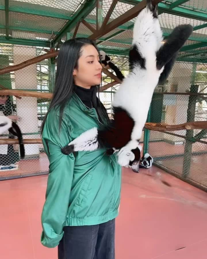小松ナオのインスタグラム