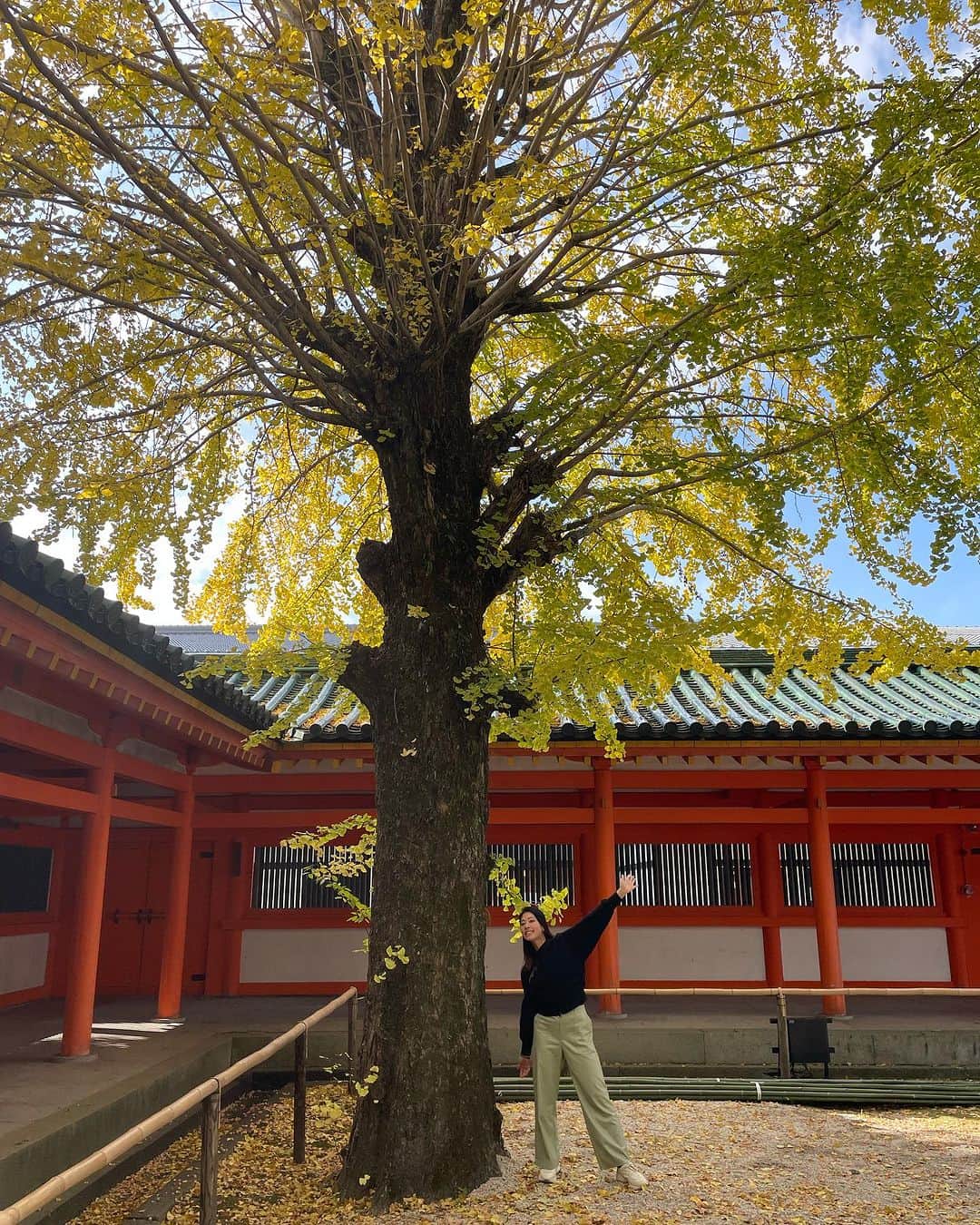 森田理香子のインスタグラム：「． ． 京都、平安神宮✨イチョウの木🌲  #秋#観光#地元#平安神宮#綺麗#紅葉#素敵#京都」